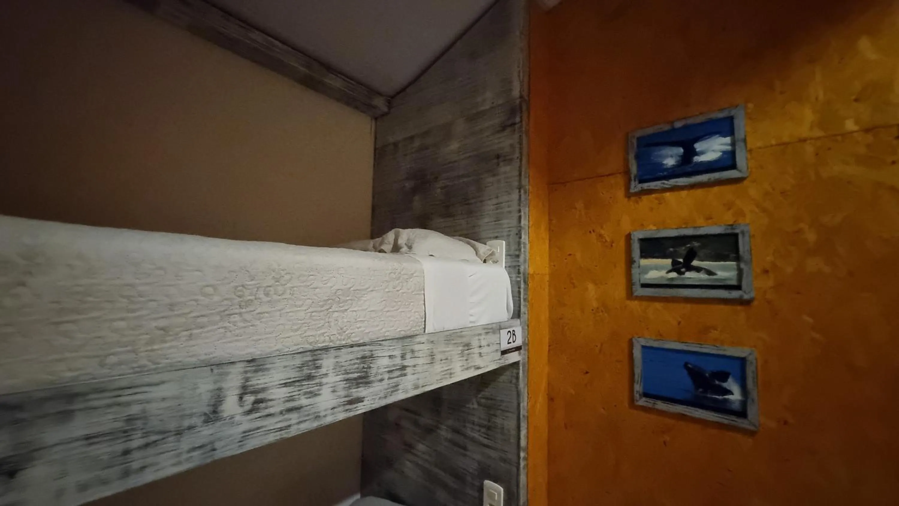 Bed in Arte da Tribo Hostel & Camping