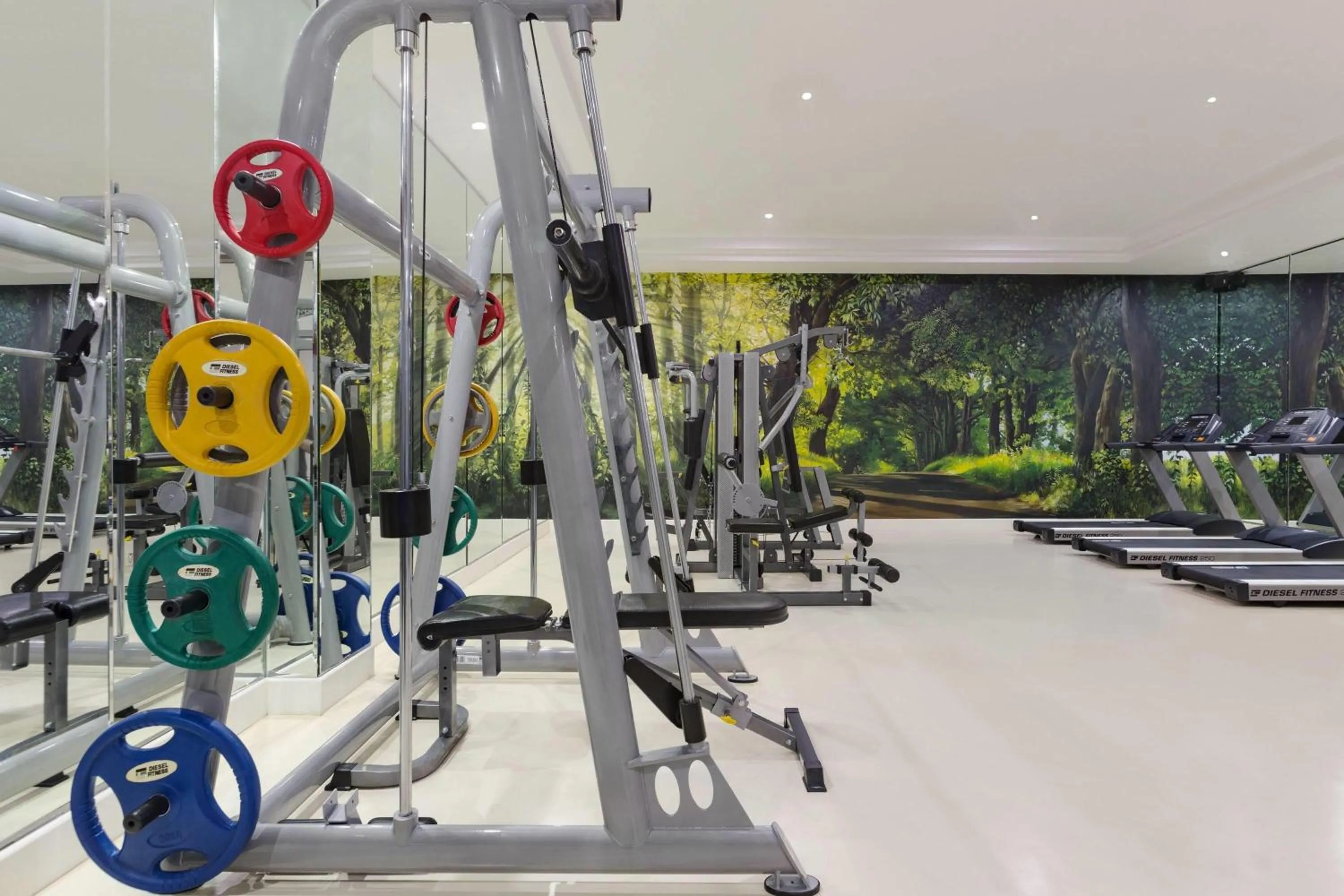 Fitness centre/facilities in Ramada Plaza by Wyndham Istanbul Atakoy