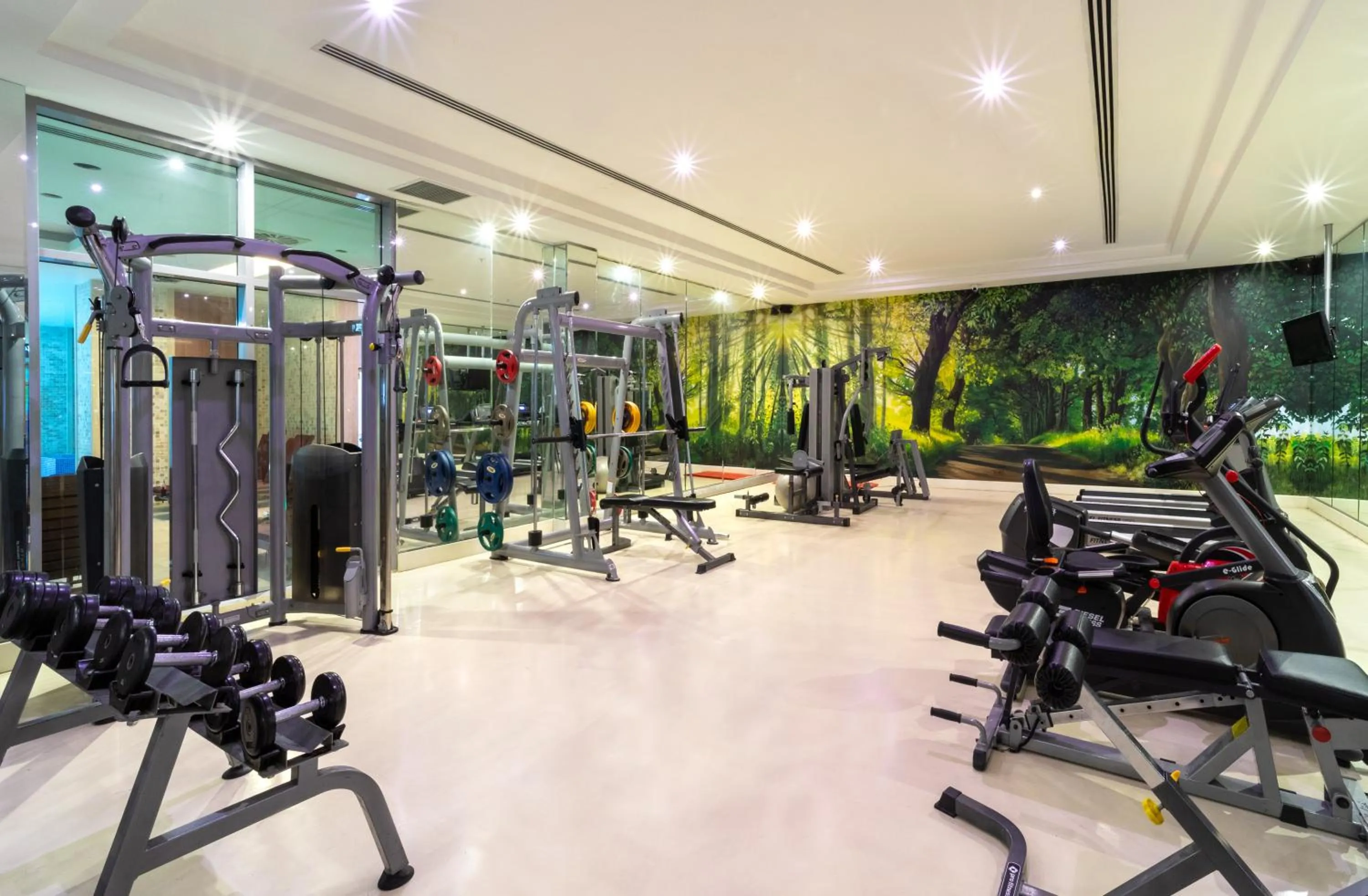 Fitness centre/facilities in Ramada Plaza by Wyndham Istanbul Atakoy