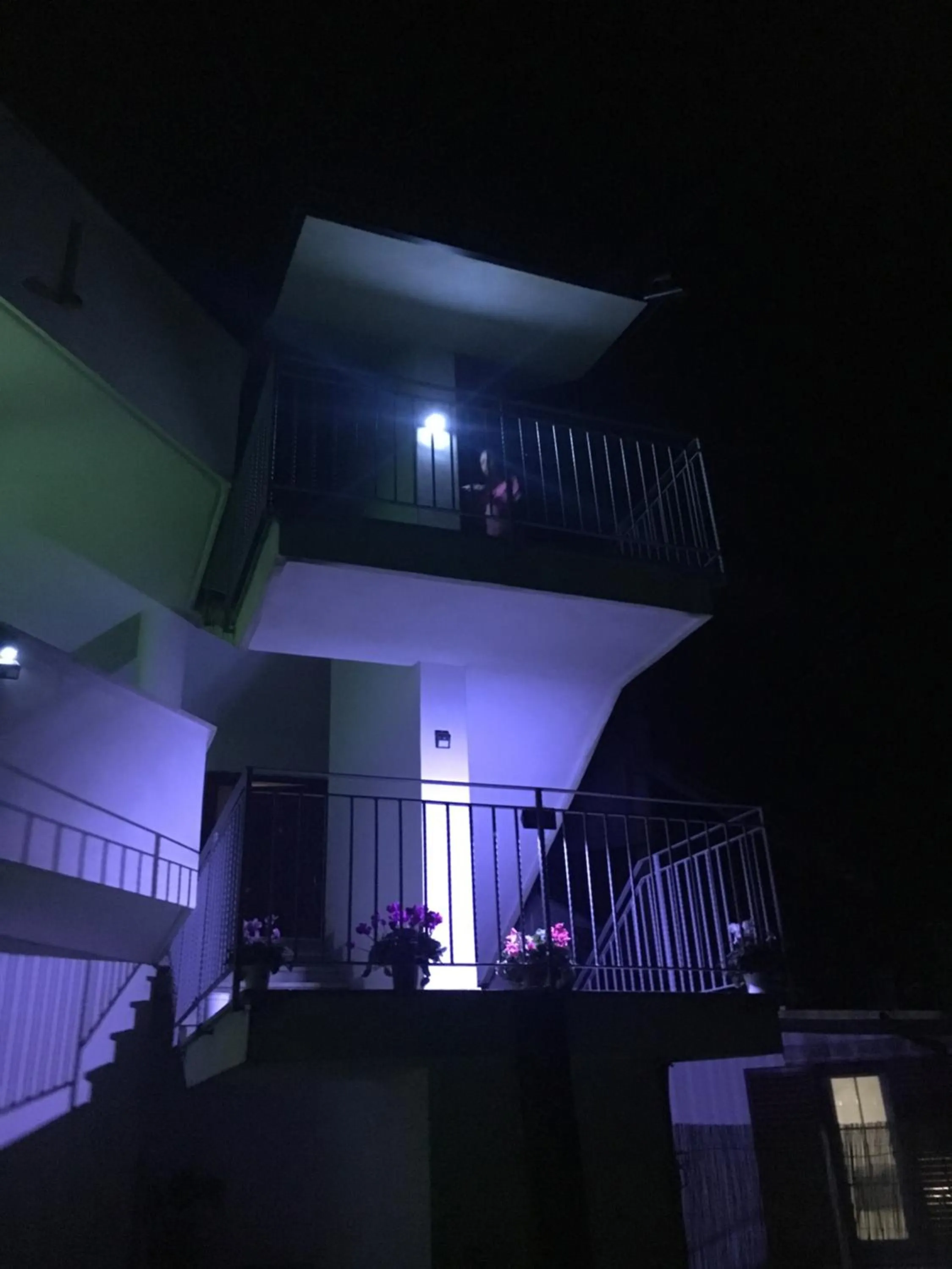 Property building in Jenny's House b&b