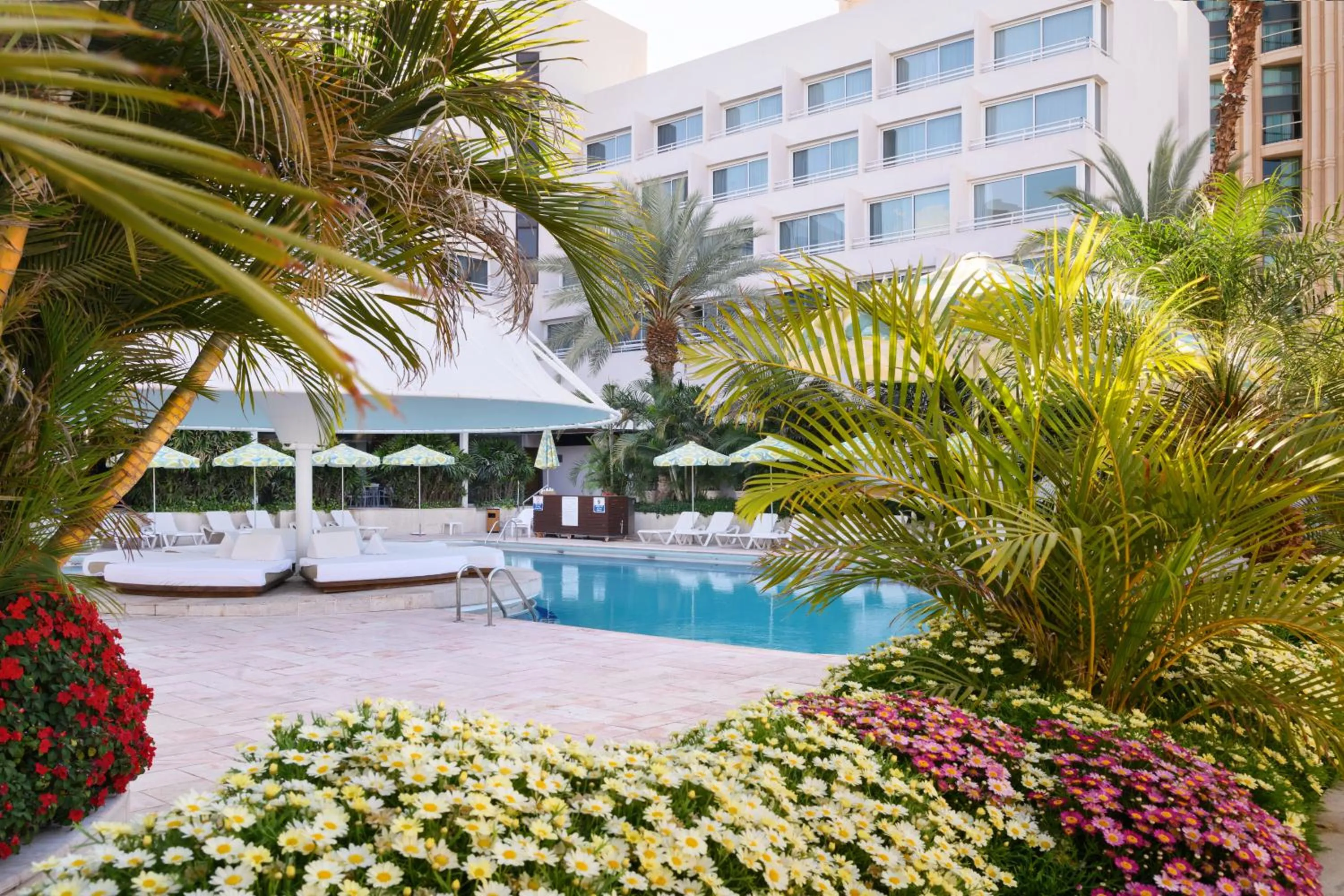 Swimming pool in Lagoona by Isrotel Collection