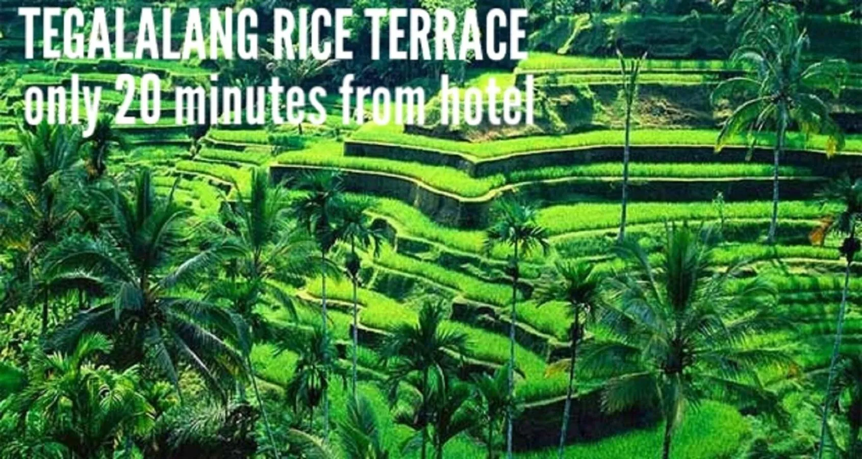 Activities in Adil Villa & Resort