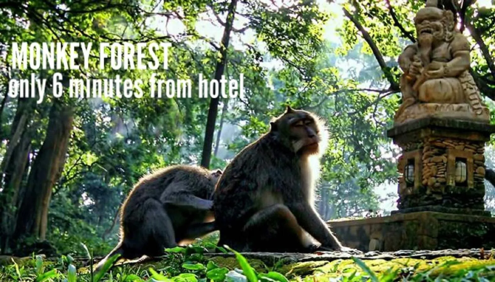 Activities in Adil Villa & Resort