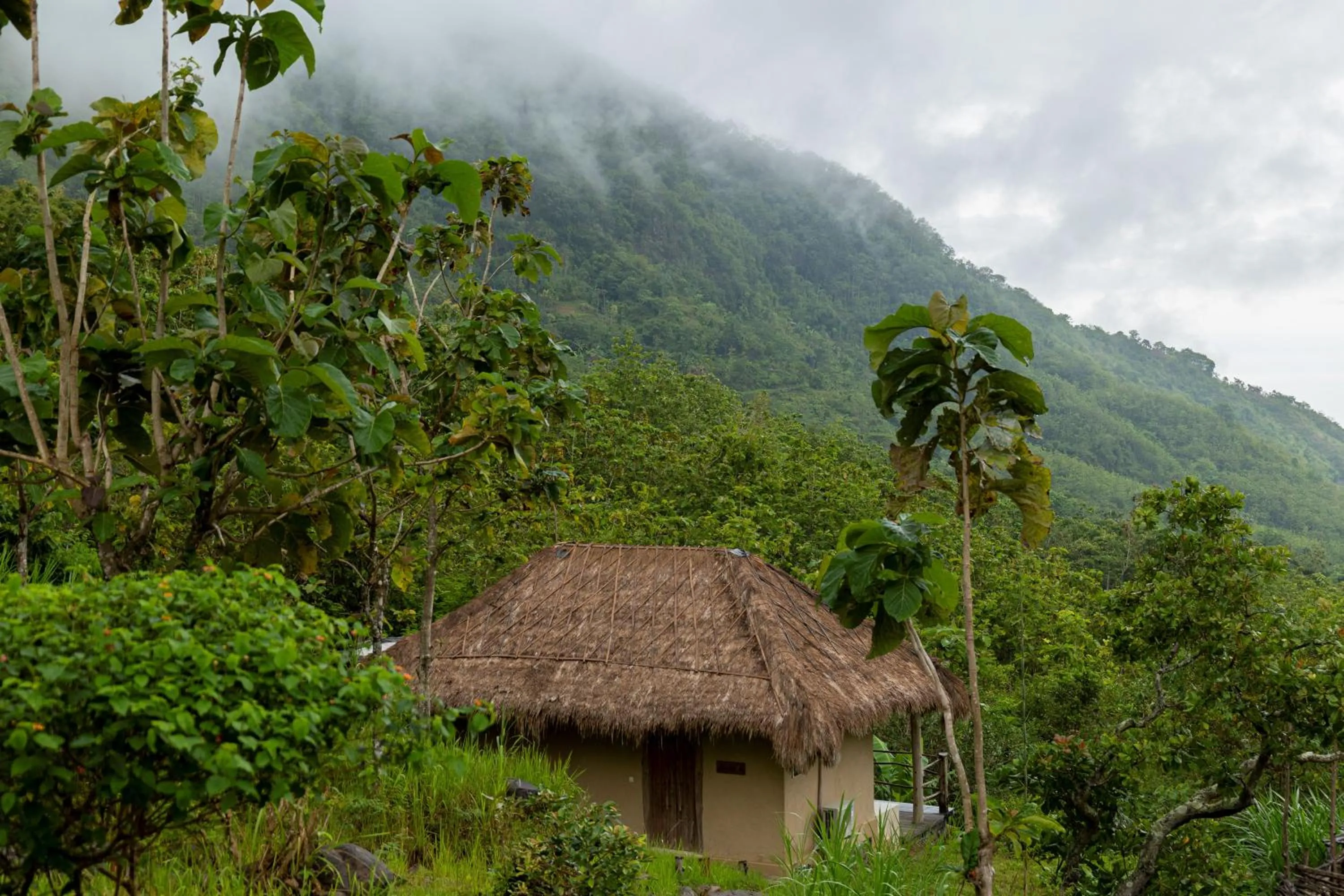 Day in MATHIS Lodge Amed