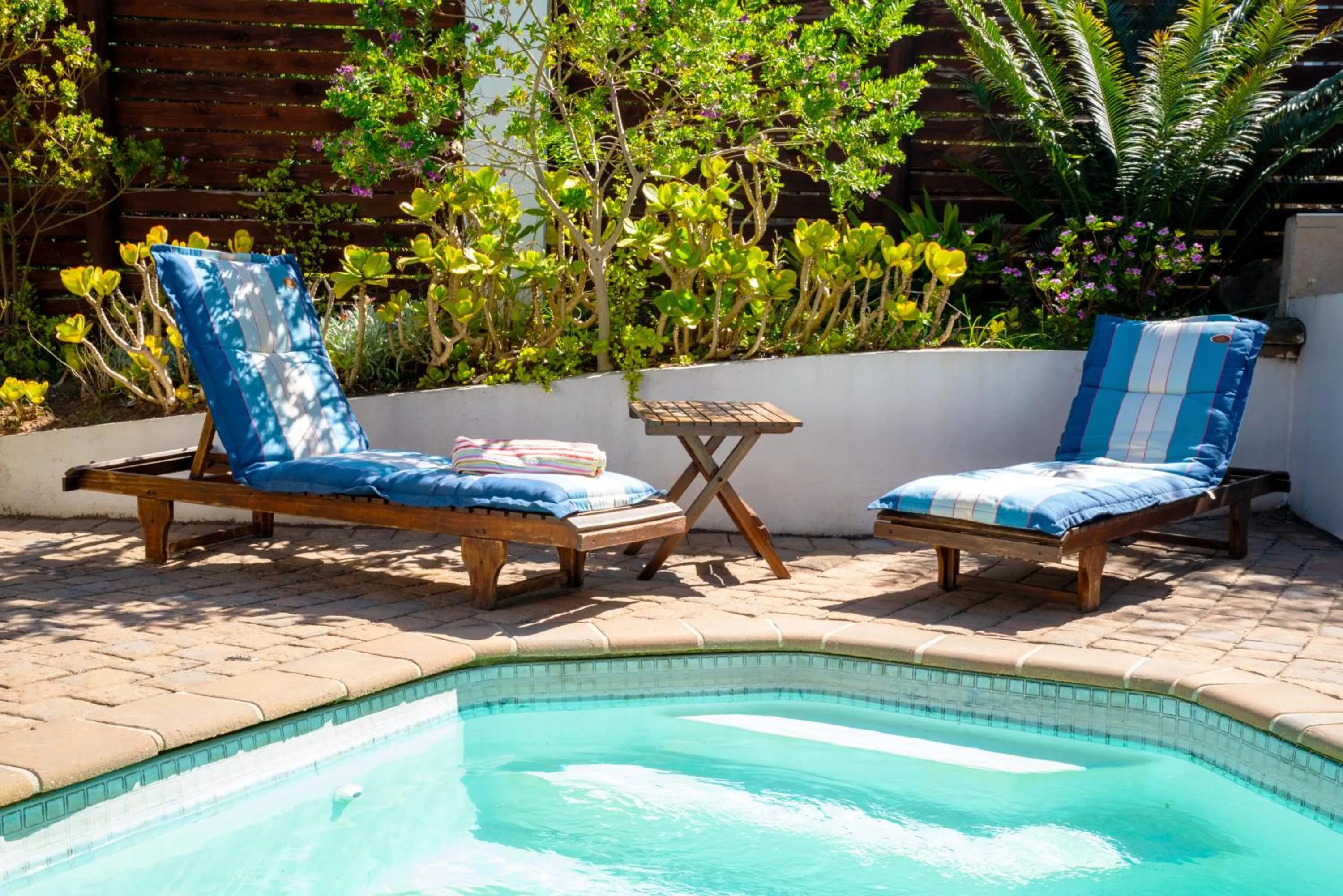 Swimming pool in Cycads on Sea Guest House