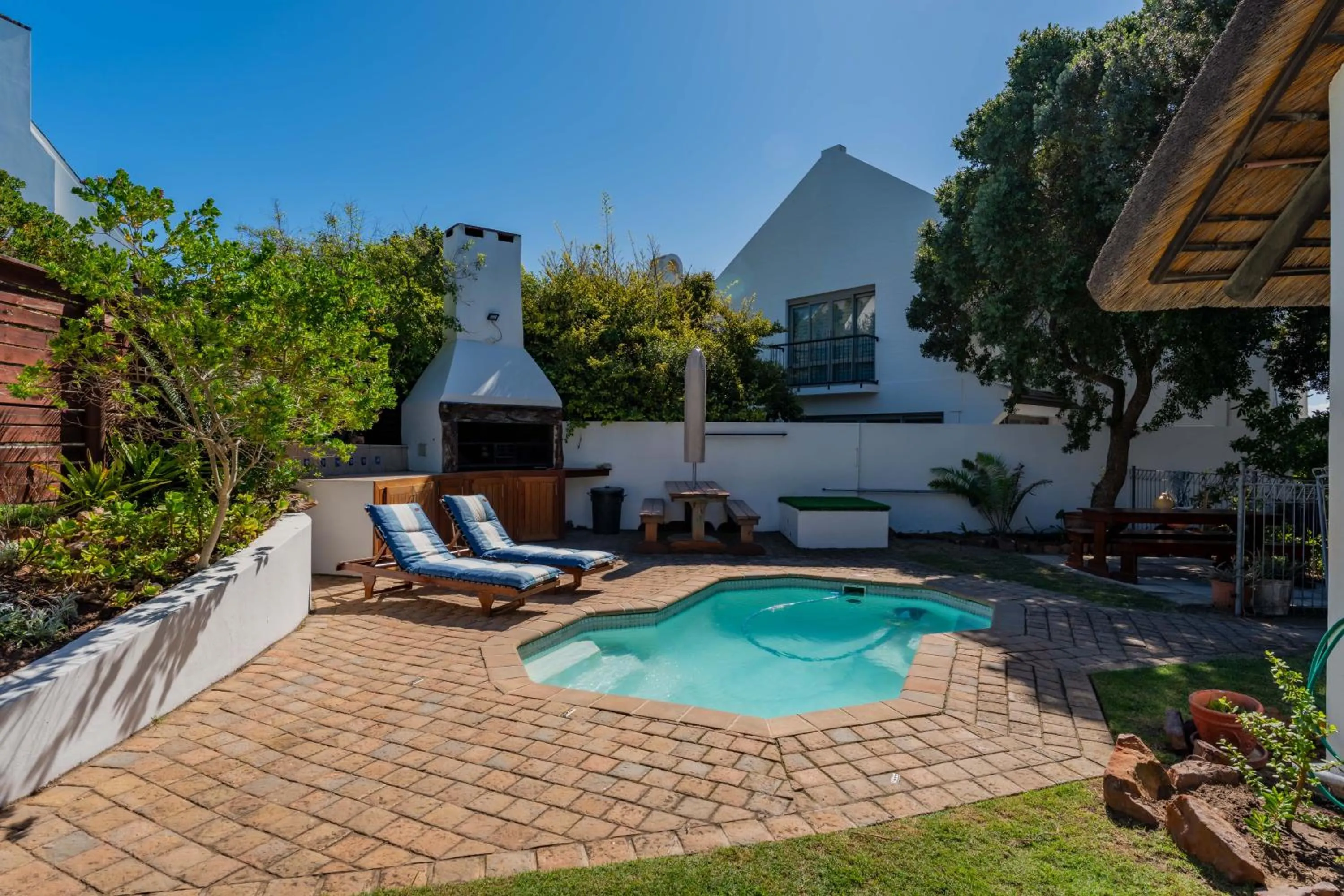 Garden in Cycads on Sea Guest House