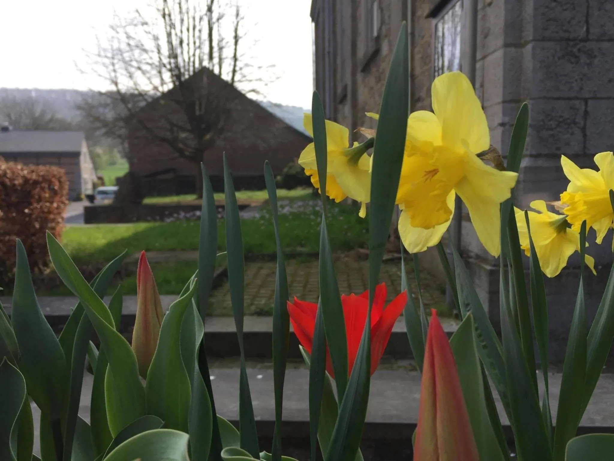 Neighbourhood in B&B Au Coeur de Villers