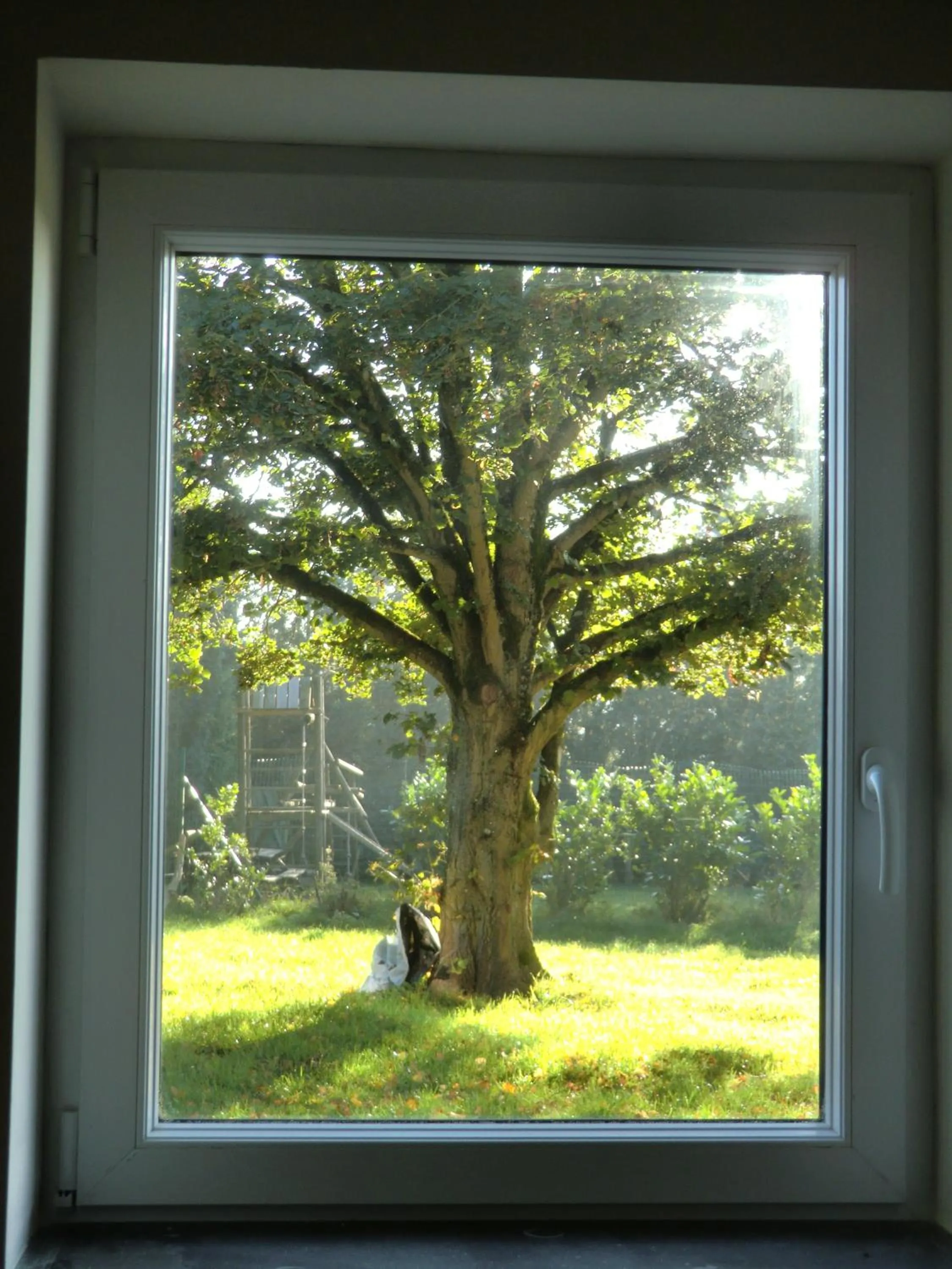 Garden in B&B Au Coeur de Villers