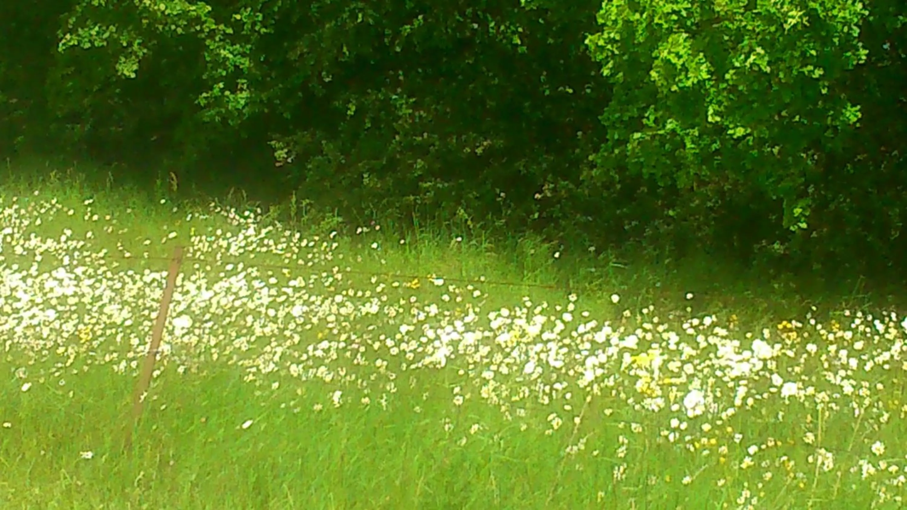Decorative detail in B&B Au Coeur de Villers