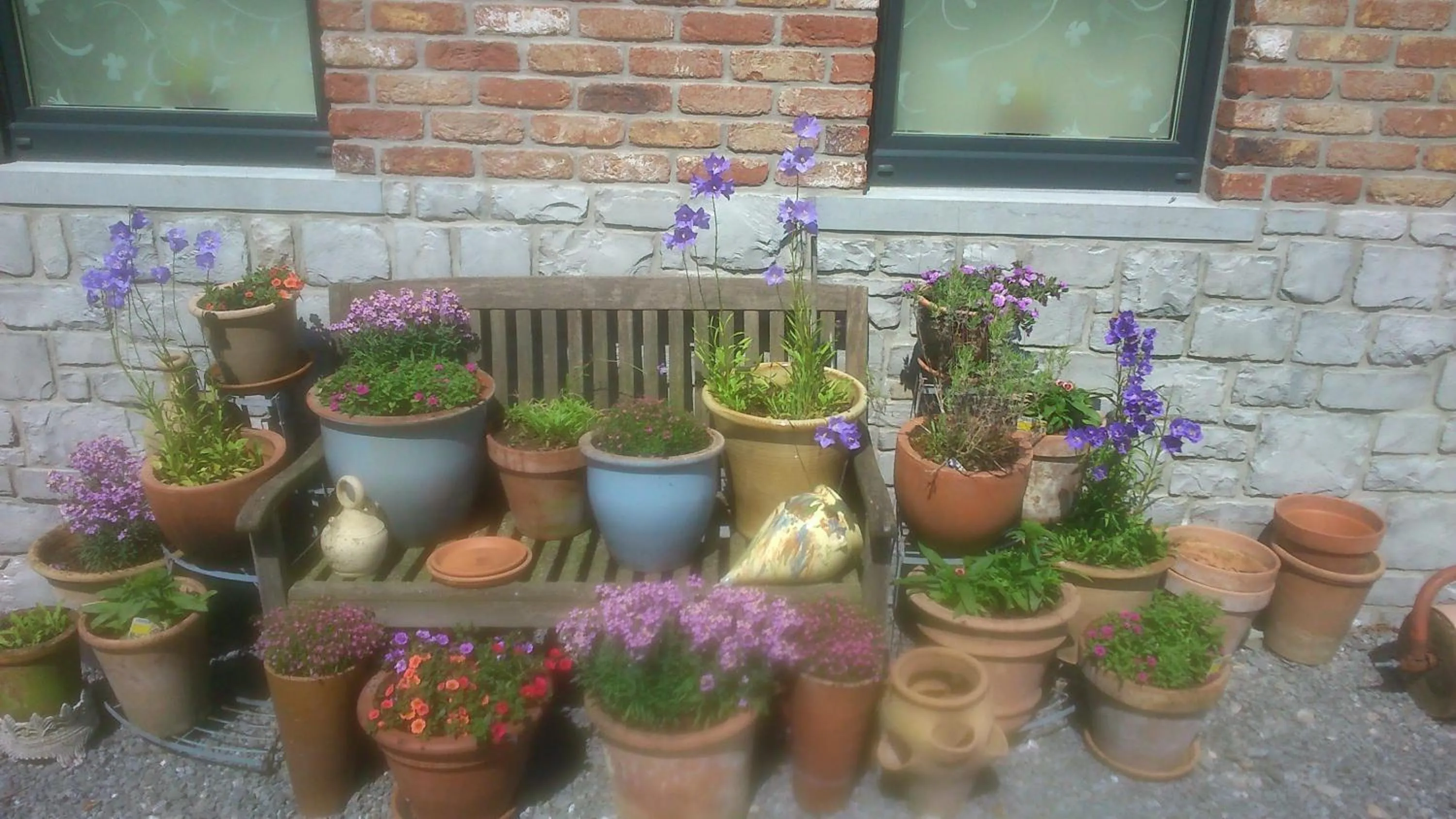 Garden in B&B Au Coeur de Villers