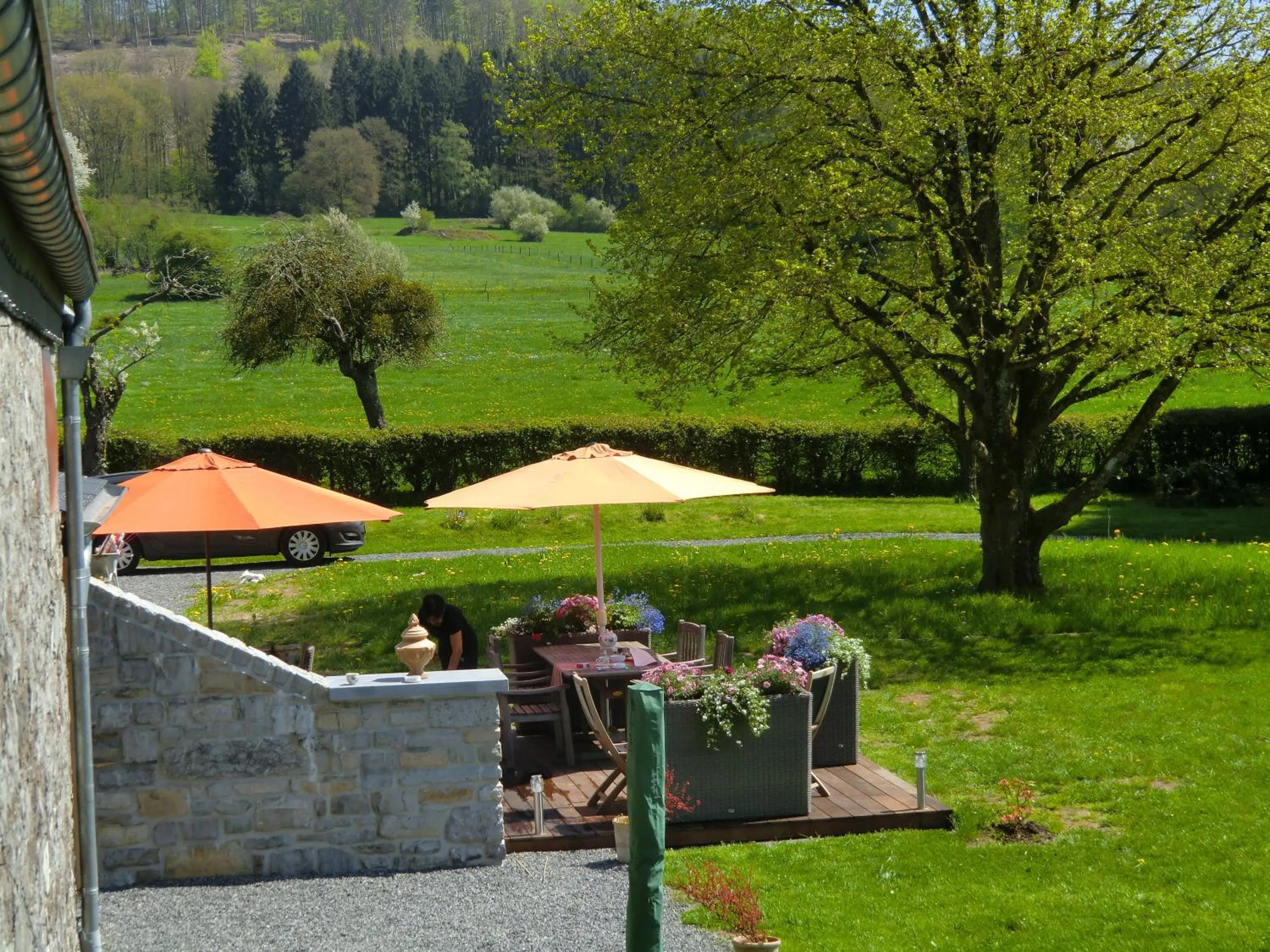 Natural landscape in B&B Au Coeur de Villers