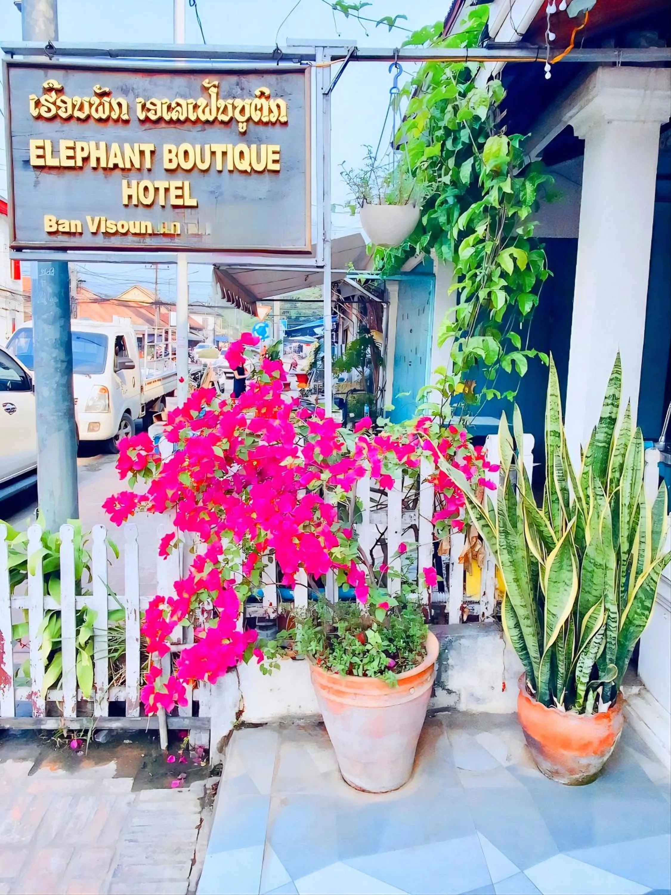 Property building in Elephant Boutique Hotel