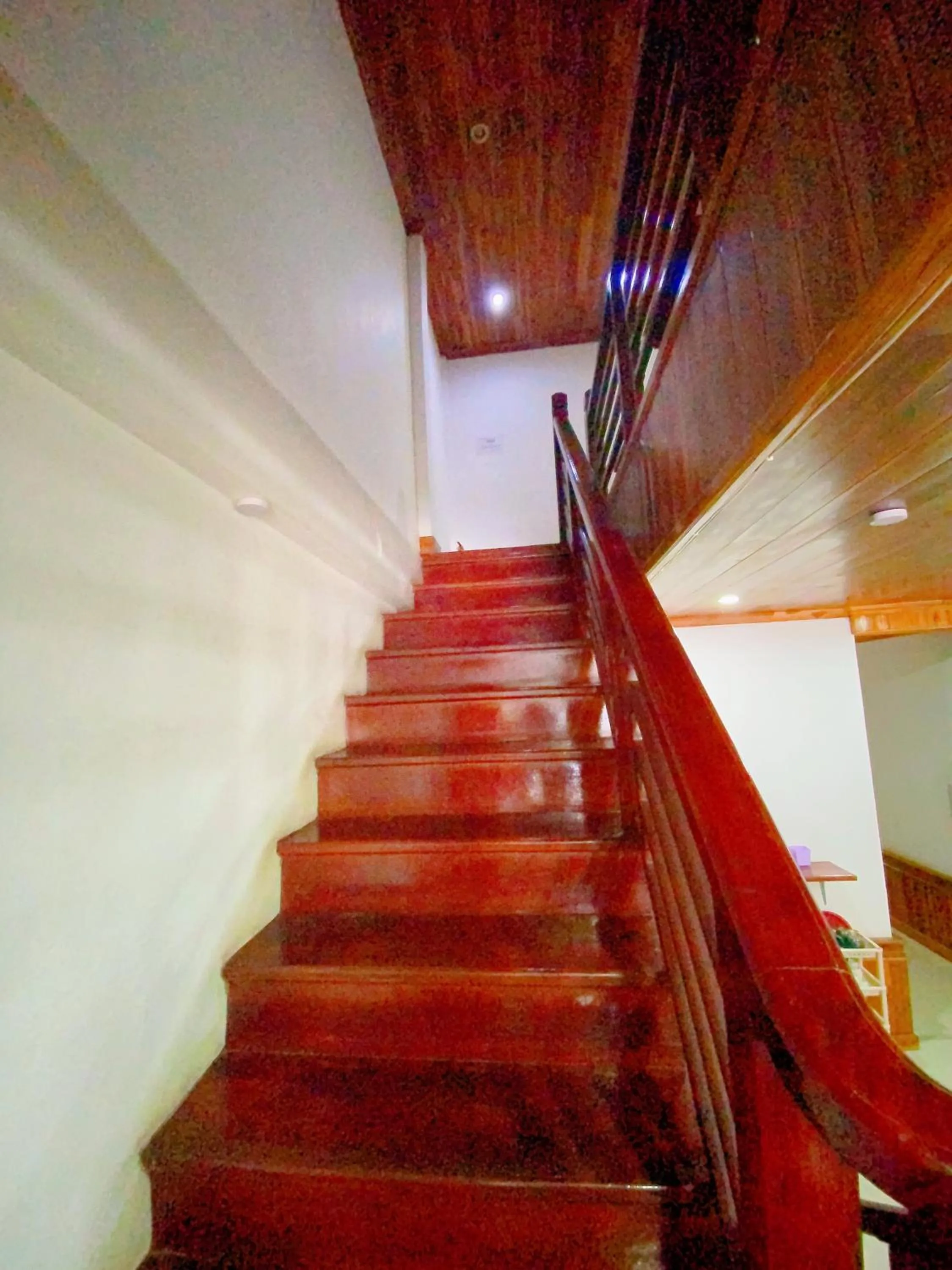 Property building in Elephant Boutique Hotel