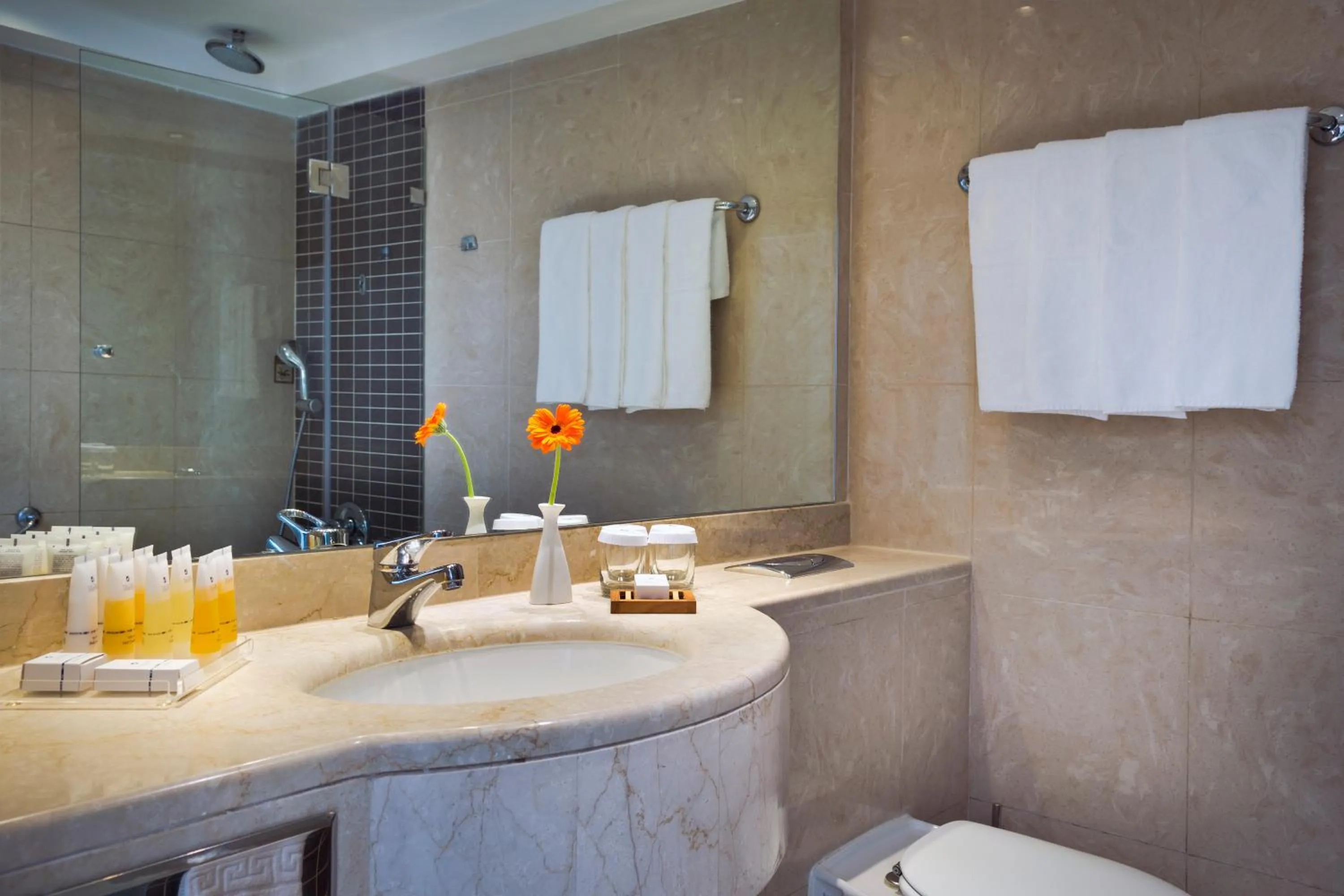 Toilet in King Solomon by Isrotel Collection