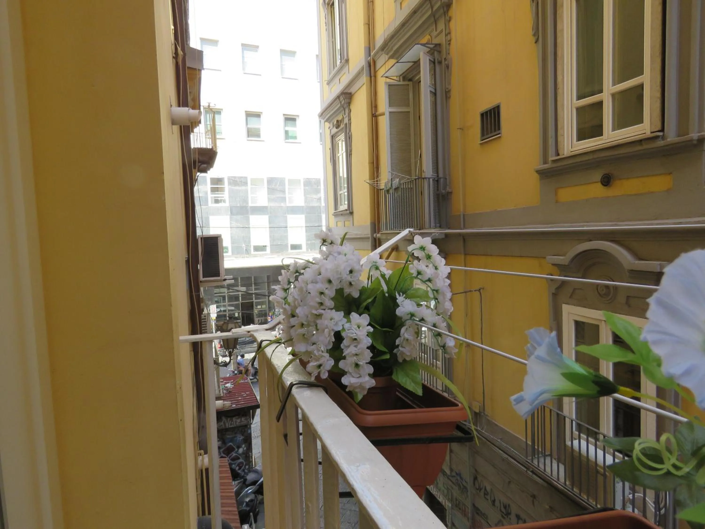 View (from property/room) in Olimpo degli Dei