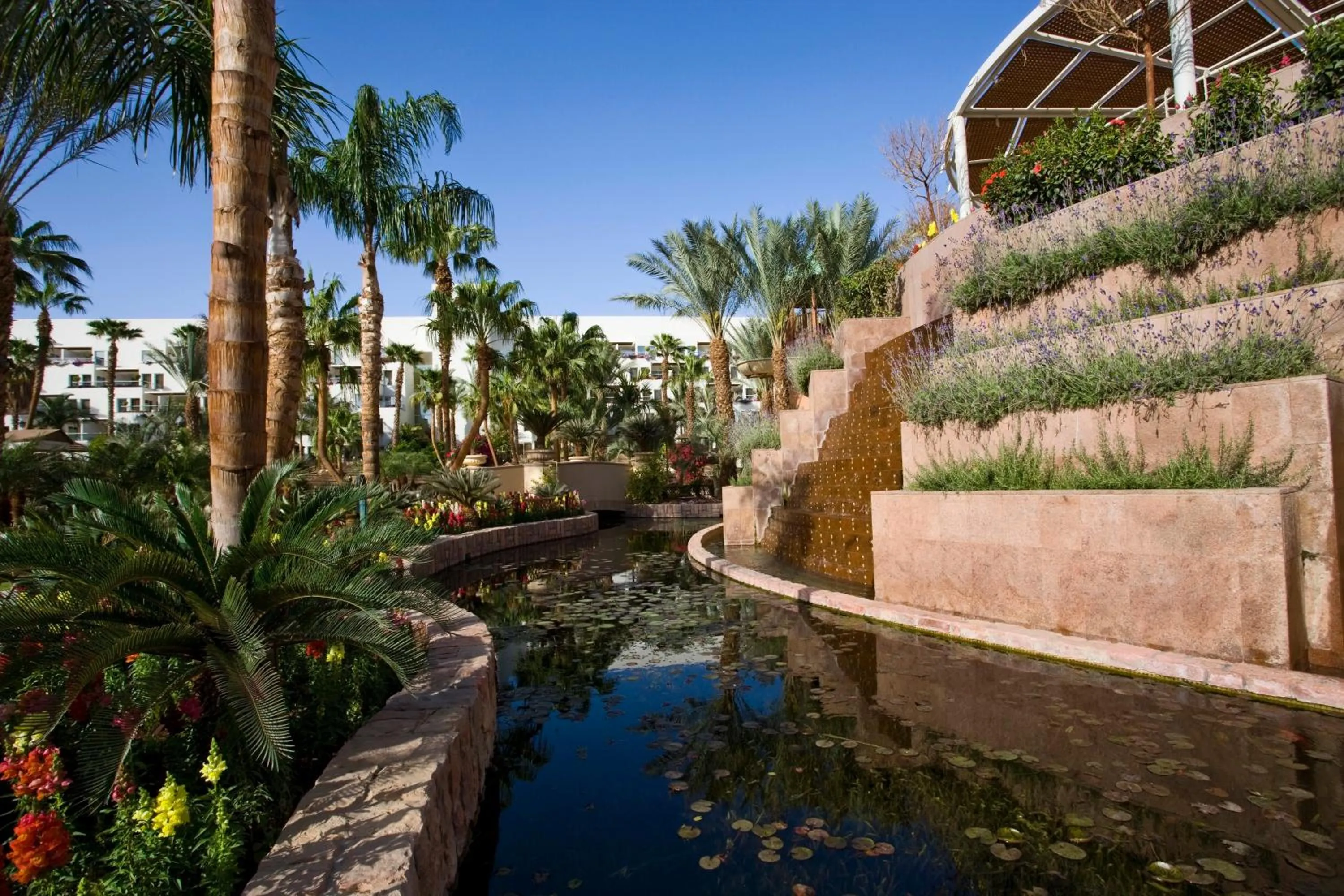 Area and facilities in Royal Garden by Isrotel Collection