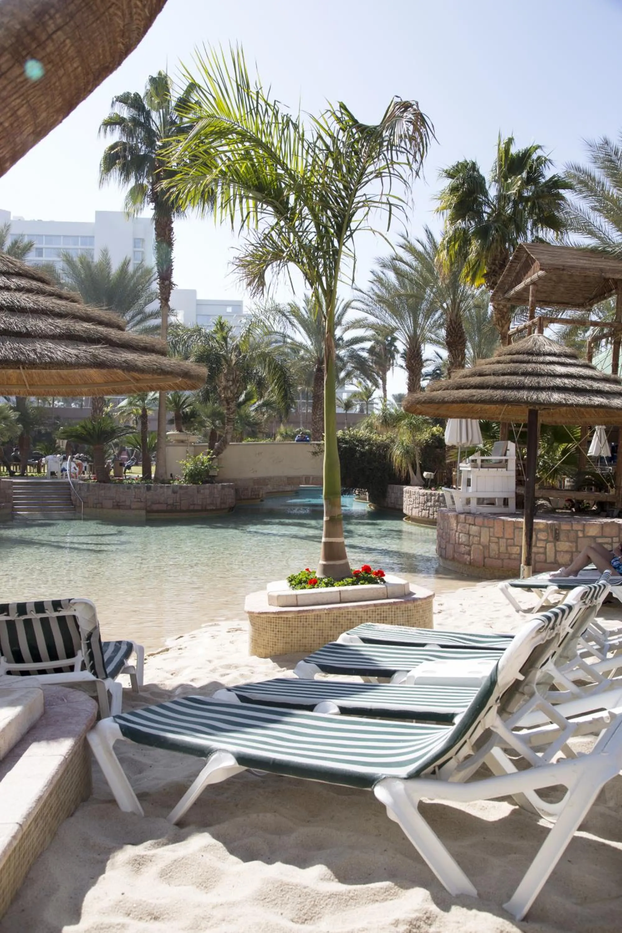 Swimming pool in Royal Garden by Isrotel Collection