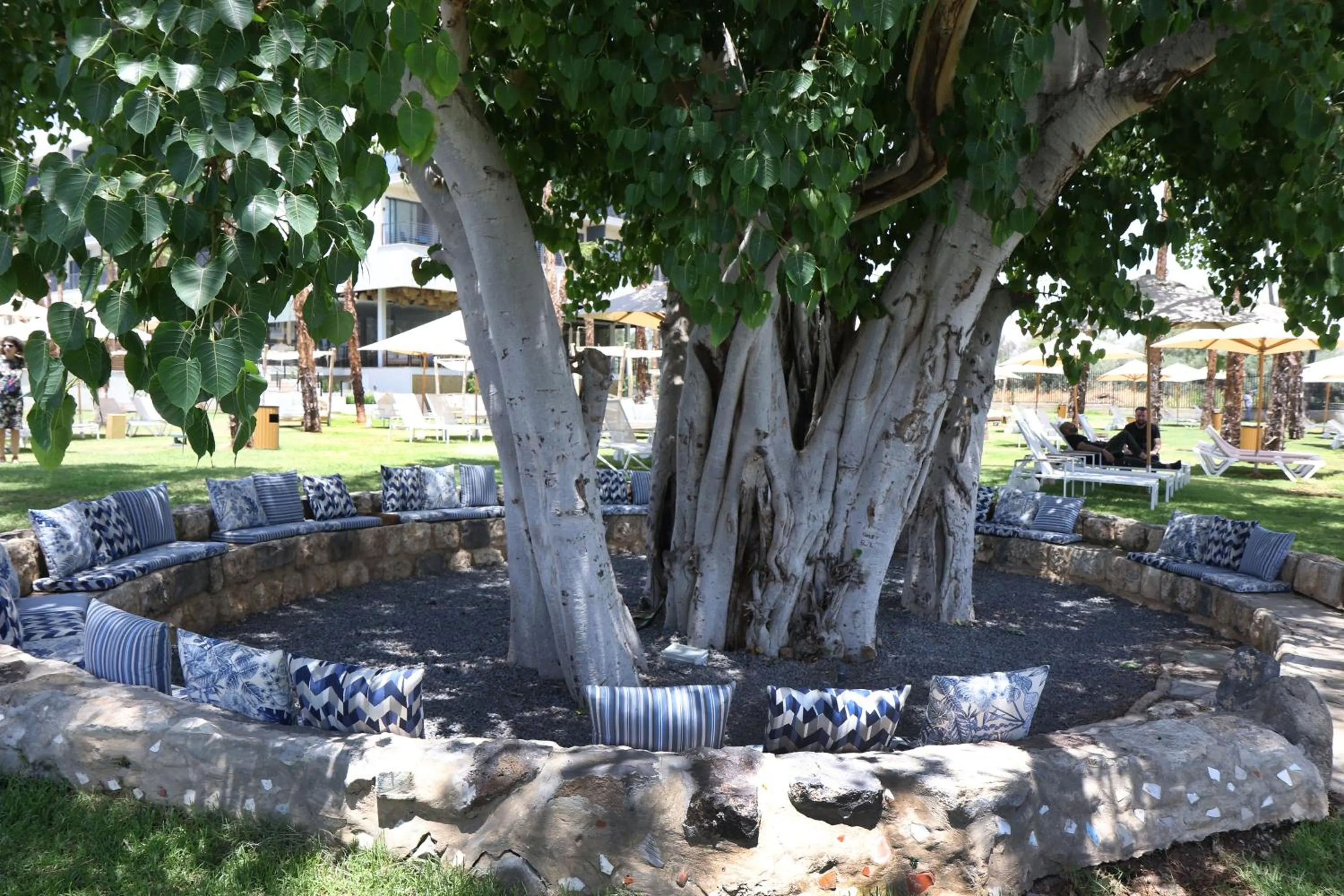 Garden in Gomeh by Isrotel Design