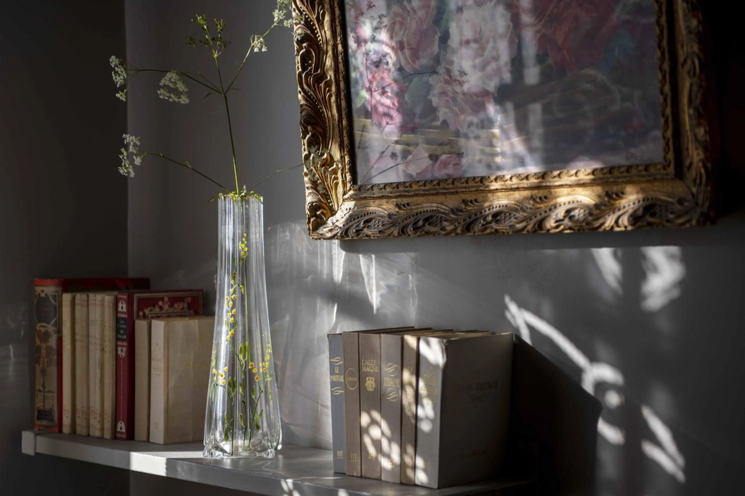 Library in Maison d'Hôtes La Singulière