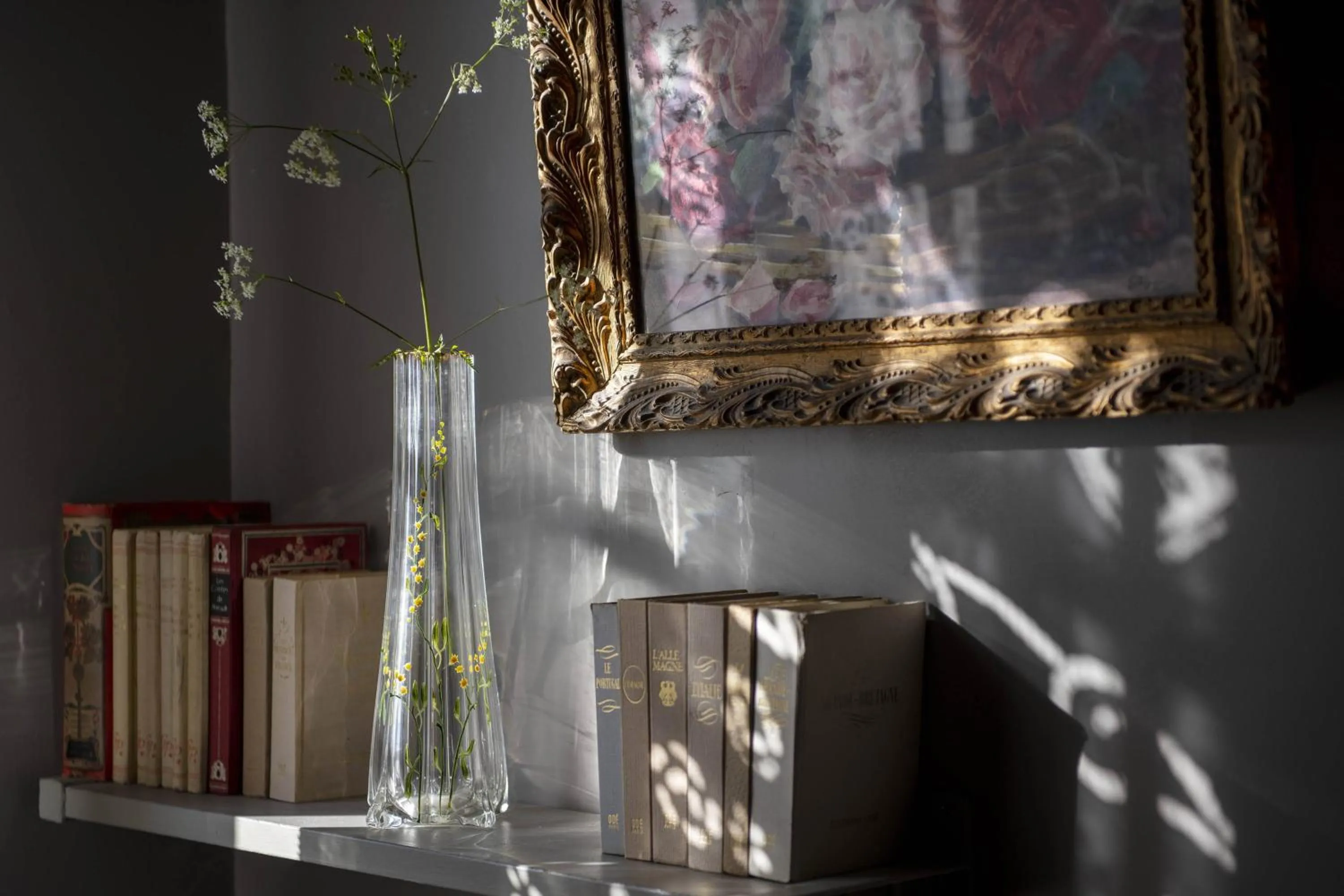 Library in Maison d'Hôtes La Singulière