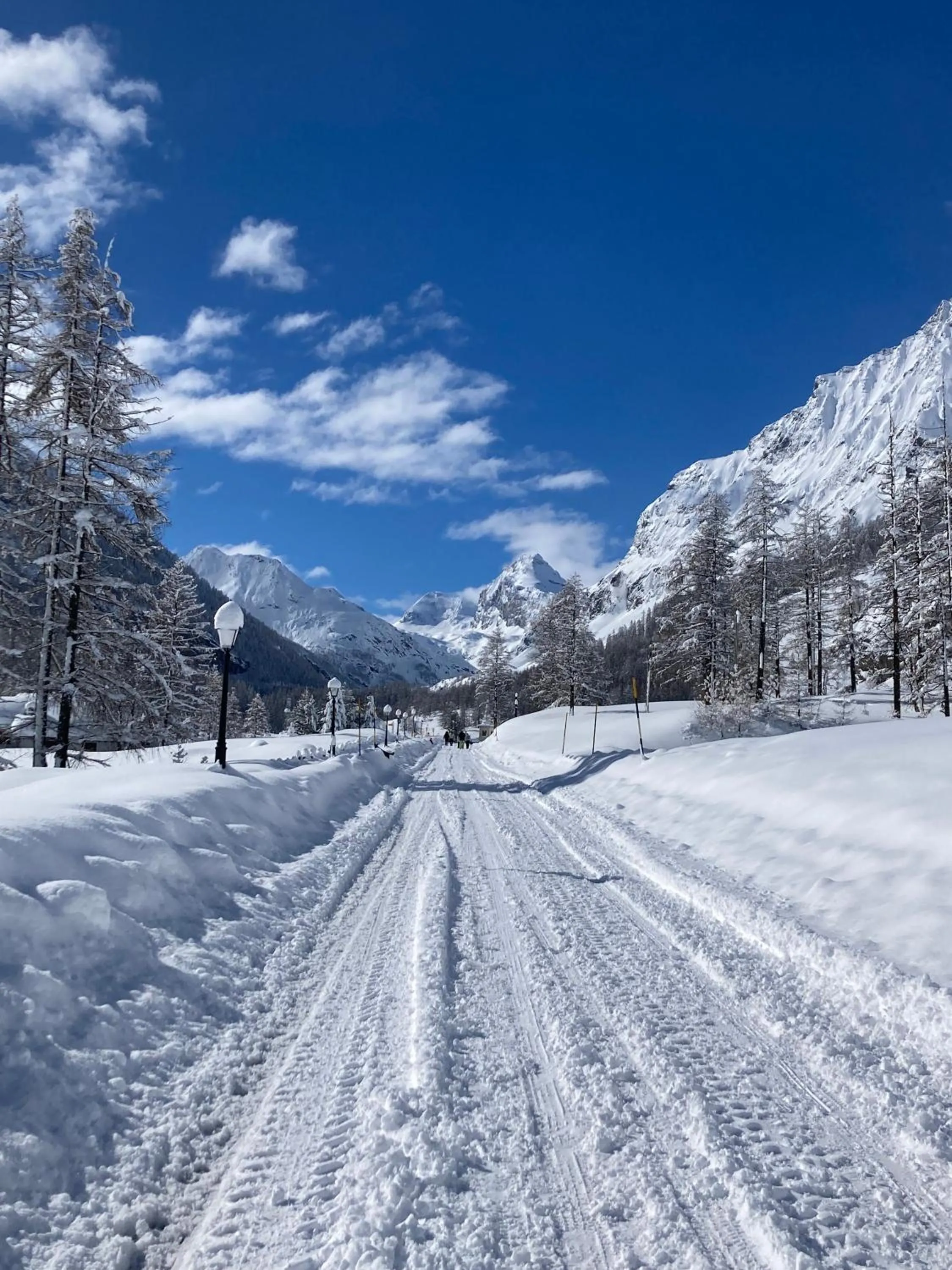 Natural landscape in Hotel Granta Parey