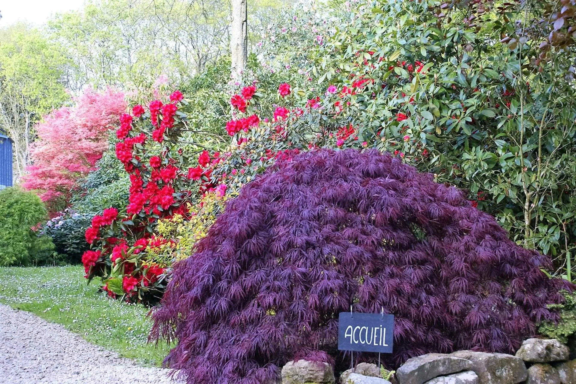Property building in La Canopée des Pins
