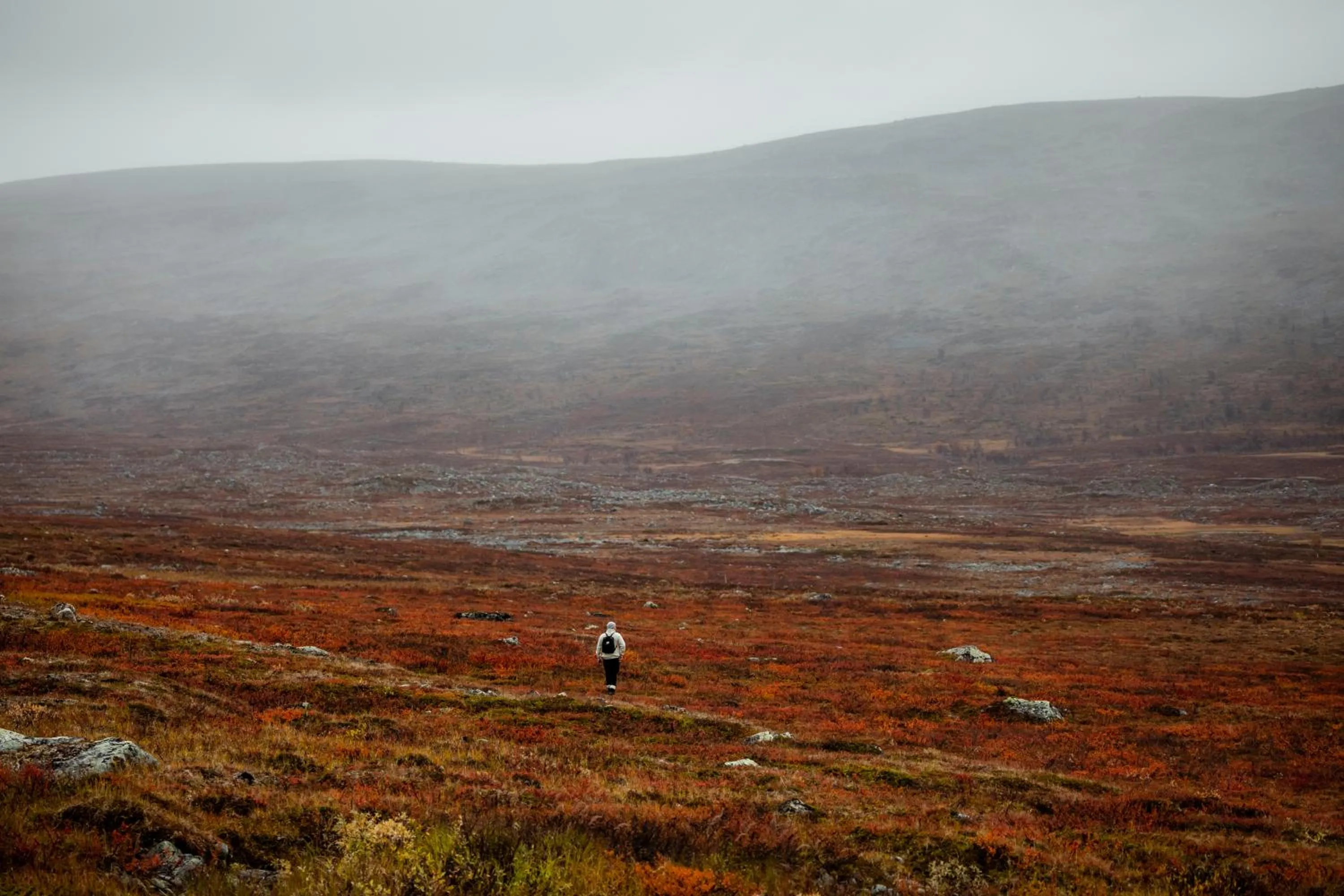 Hiking in Lapland Hotels Saaga