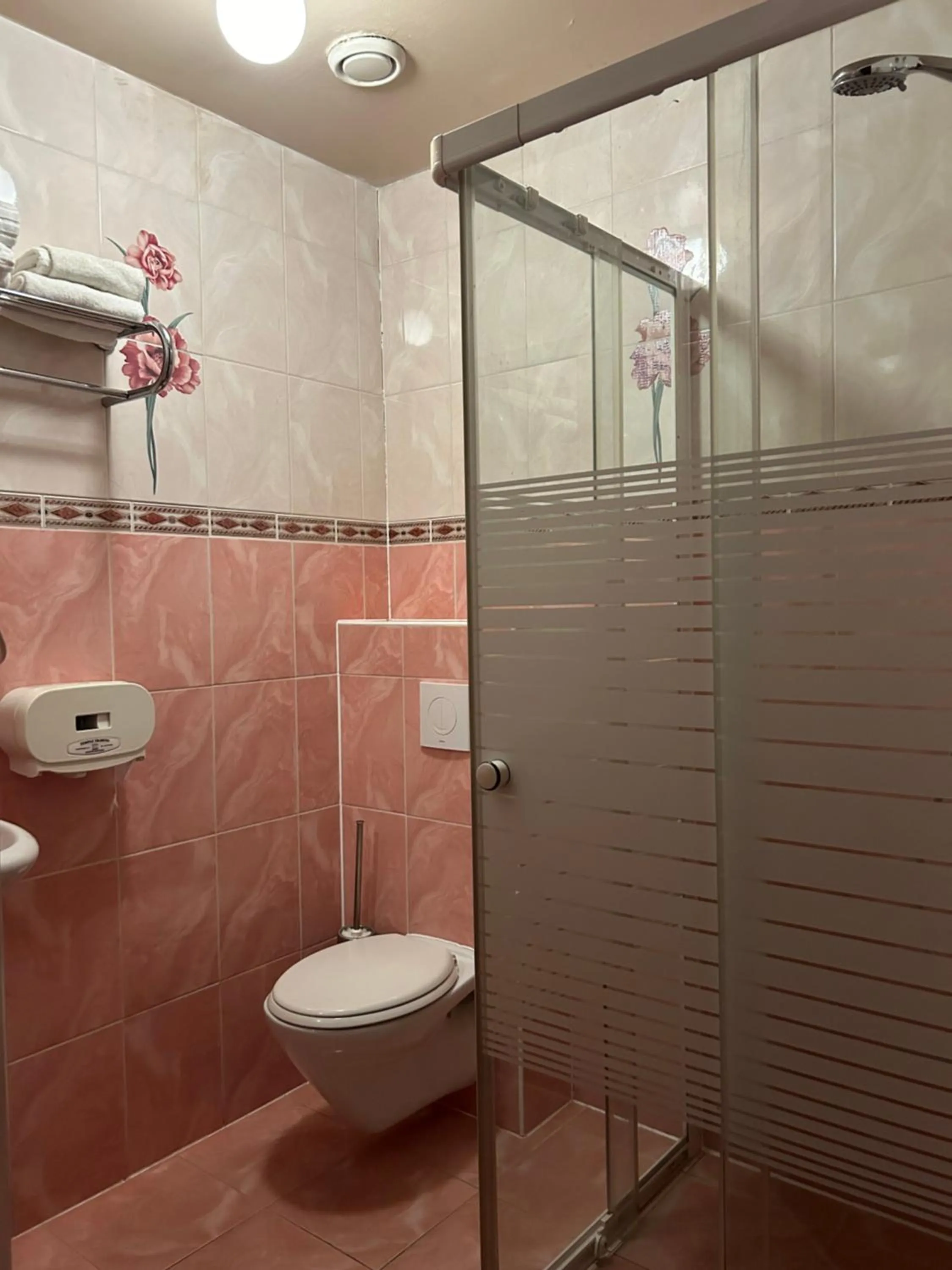 Shower in Hotel Isis