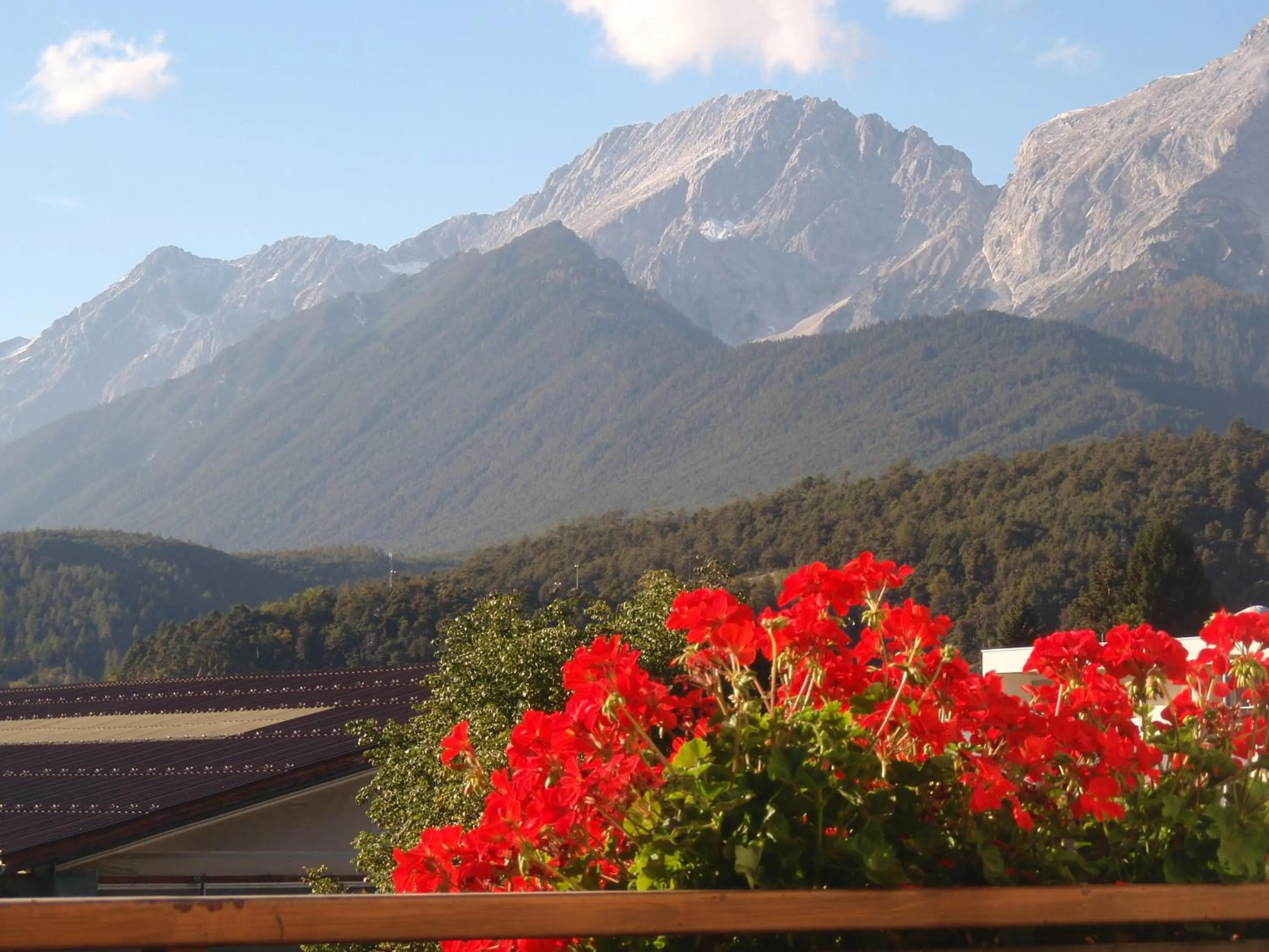 Summer in Telfer Stubm