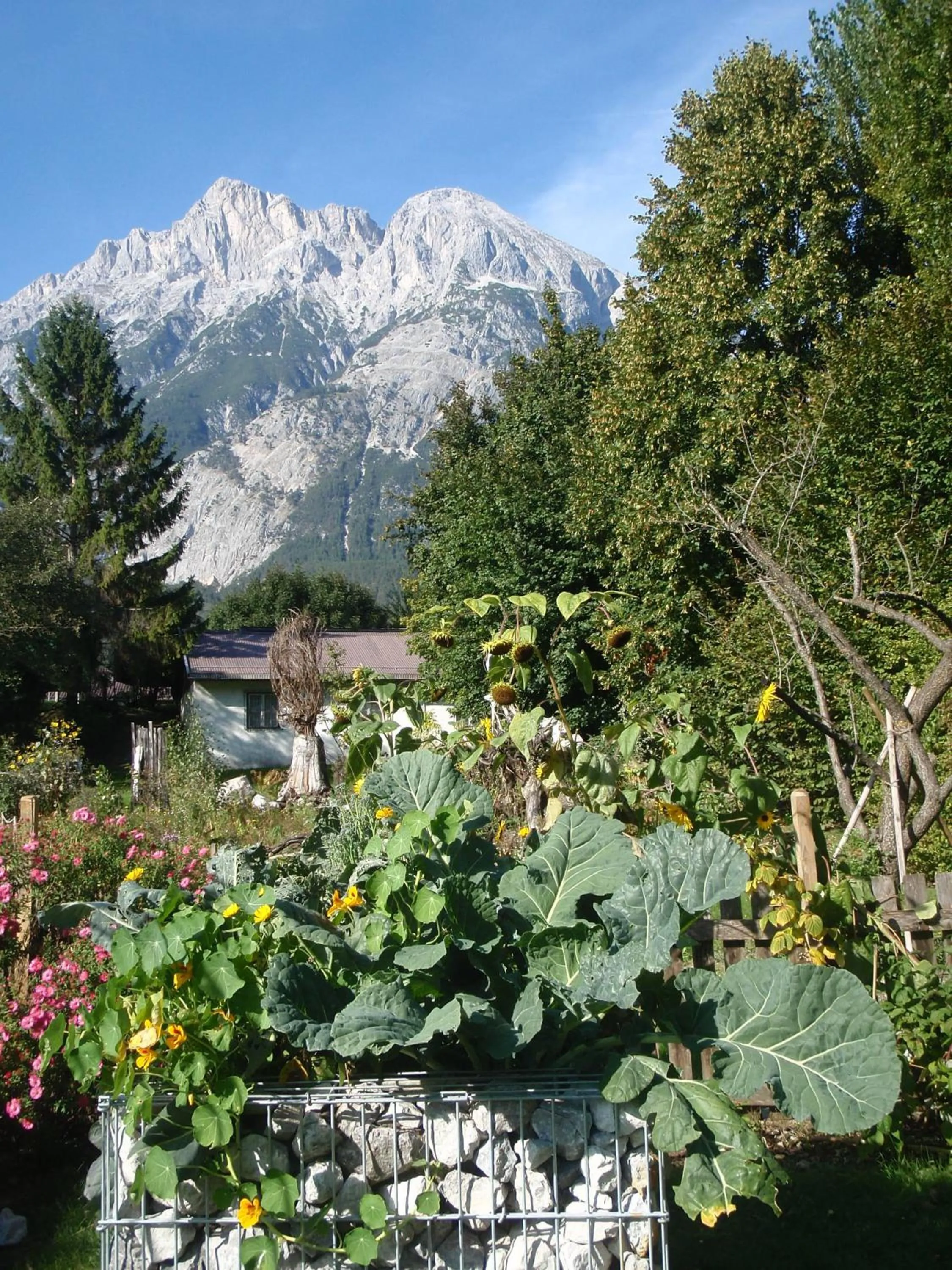 View (from property/room) in Telfer Stubm