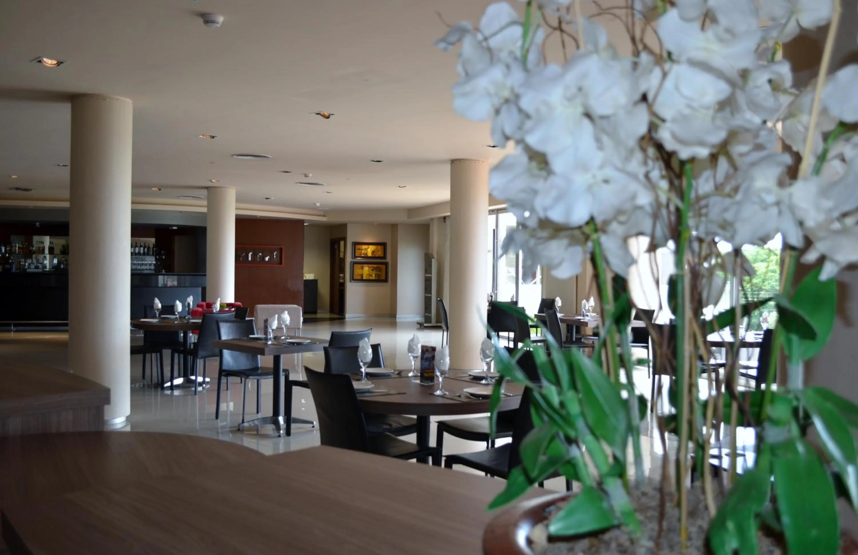 Restaurant/places to eat in 7 Saltos Resort