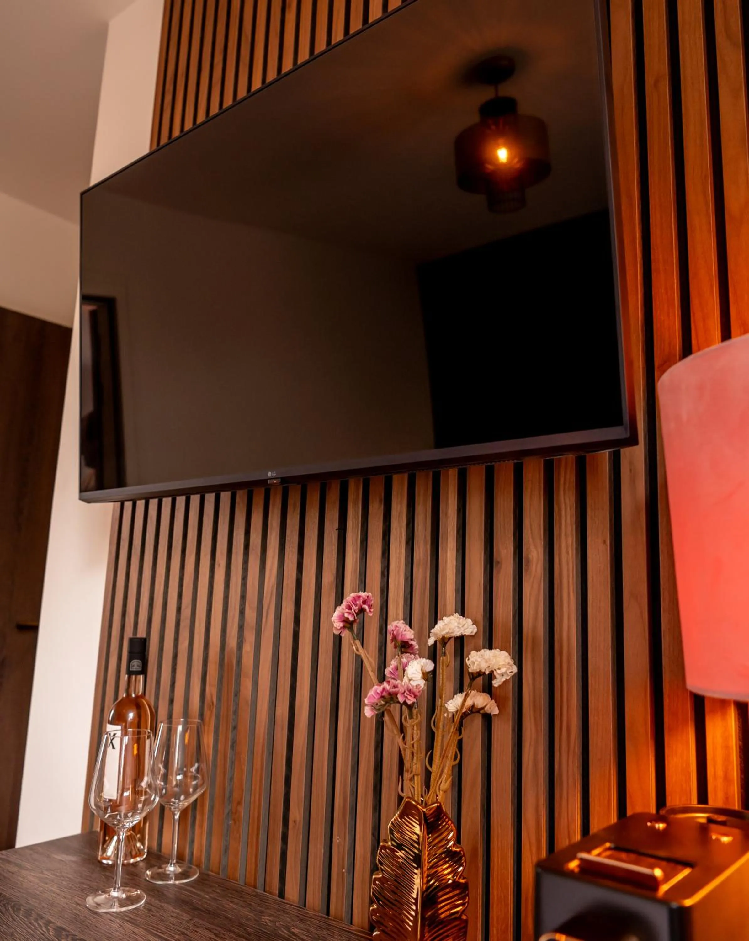 TV and multimedia in Hotel Bom