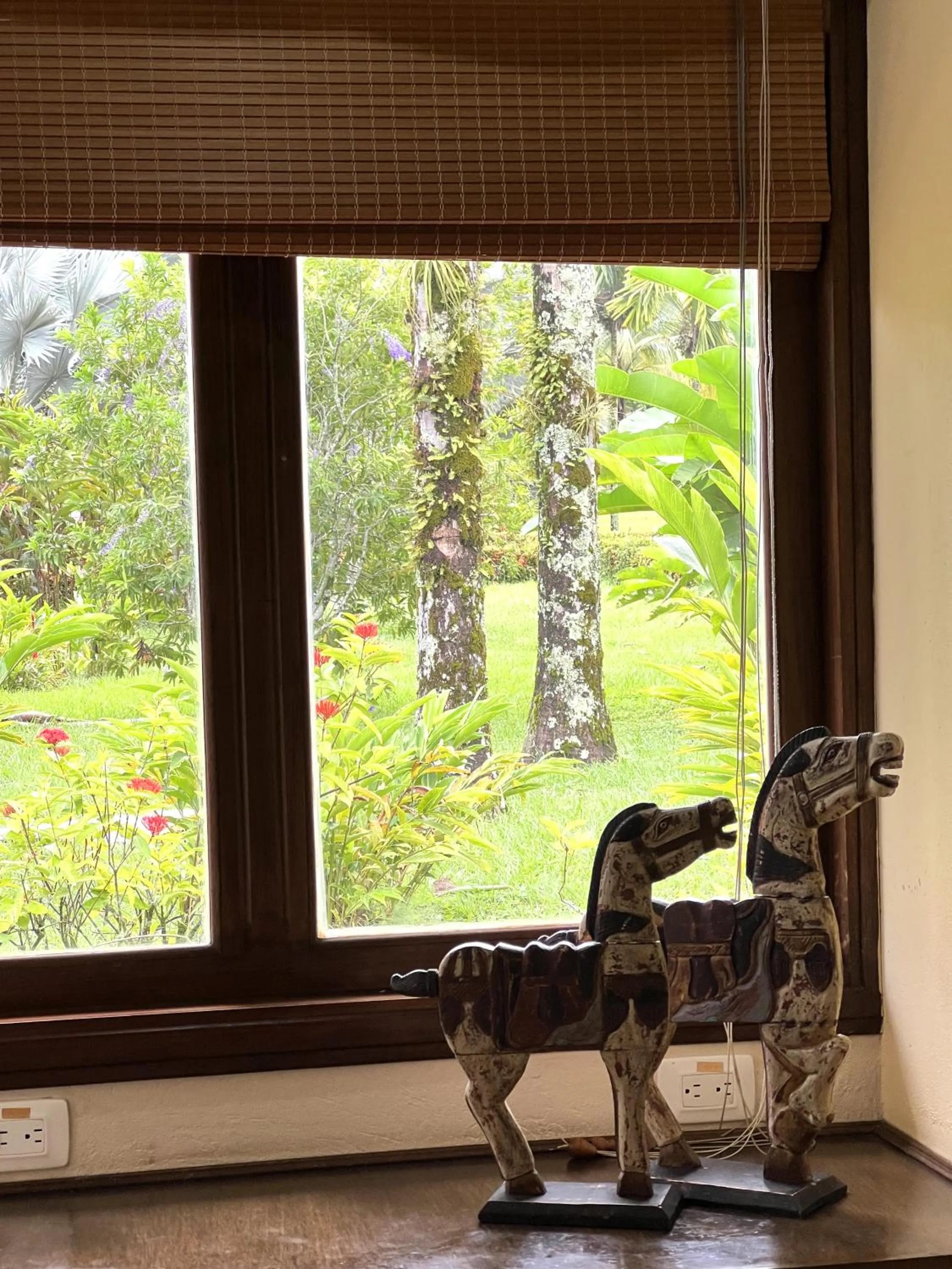 Garden view in Tequendama Hotel Campestre Villavicencio