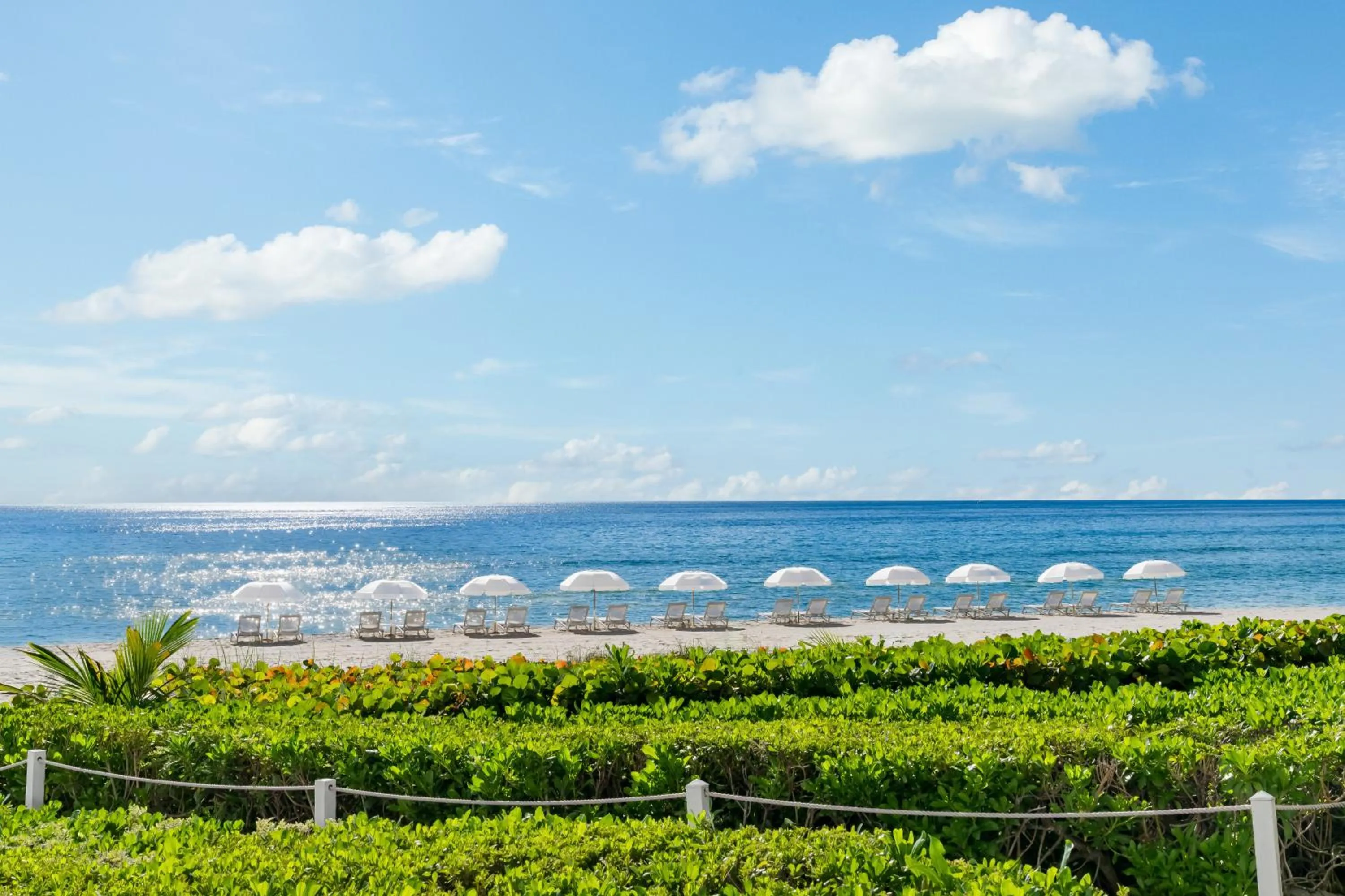 Beach in Trump International Beach Resort - Sunny Isles Beach