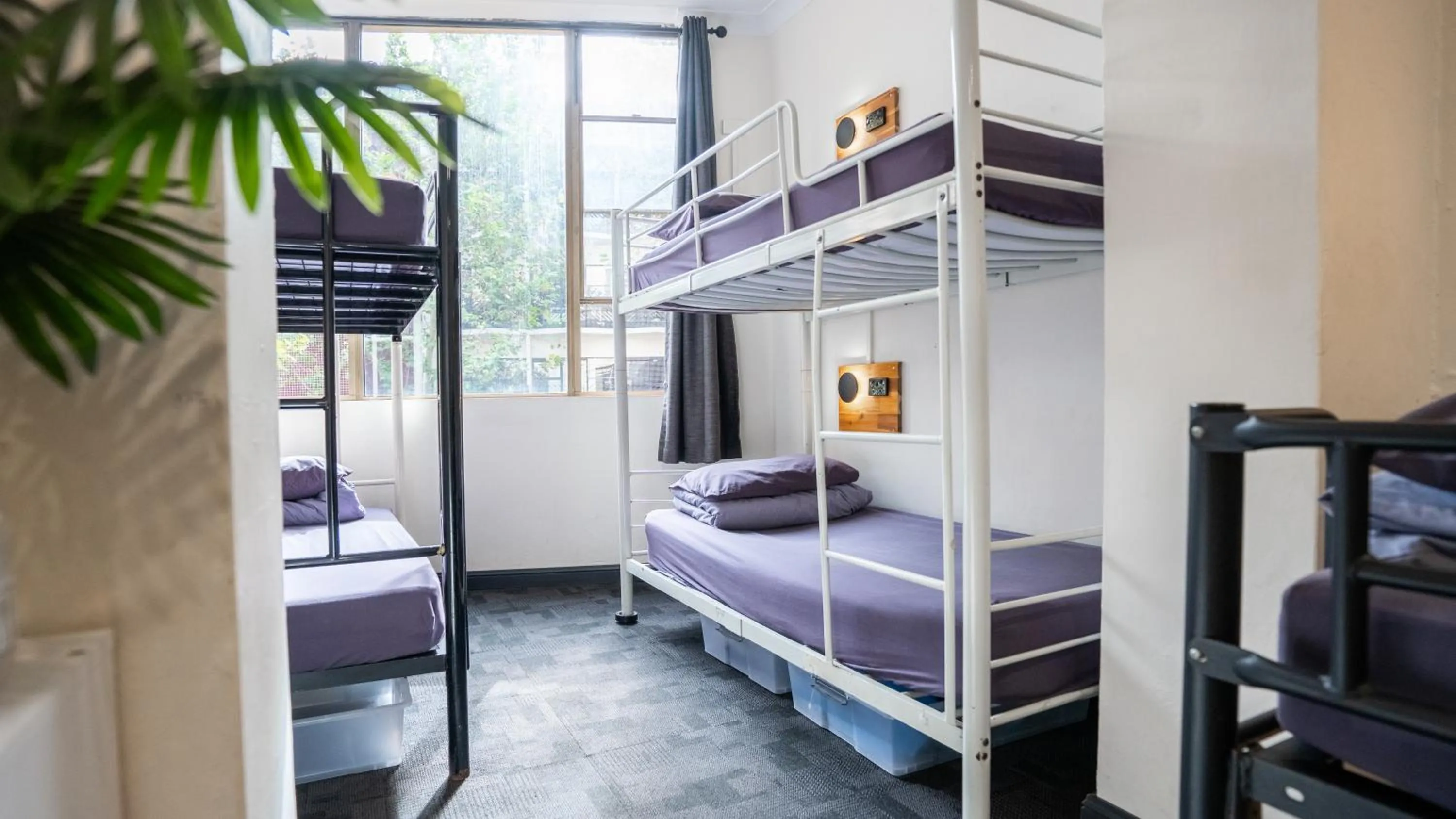 Bedroom, Bed in Mad Monkey East Side