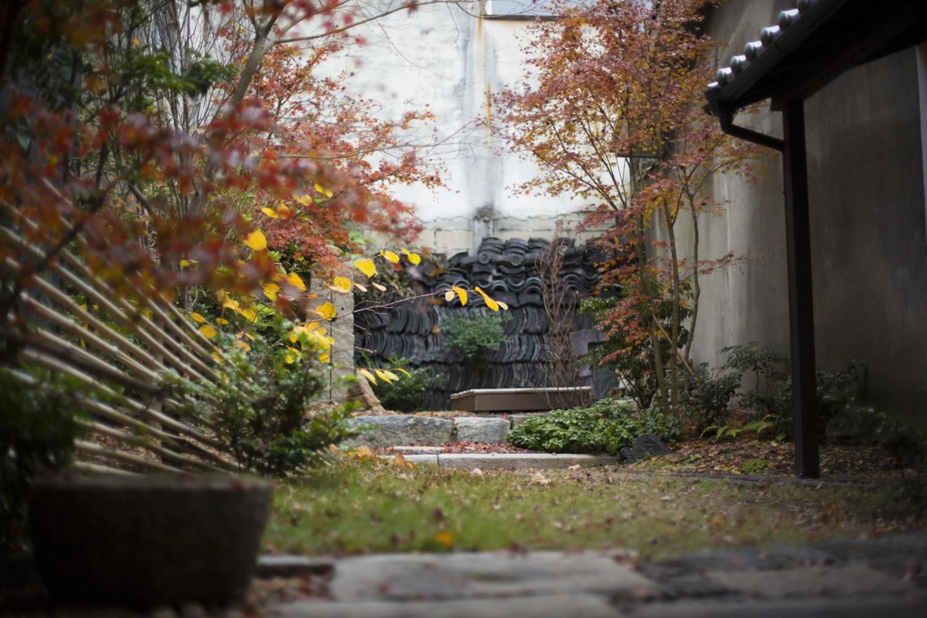 Garden in Shirafuji-an