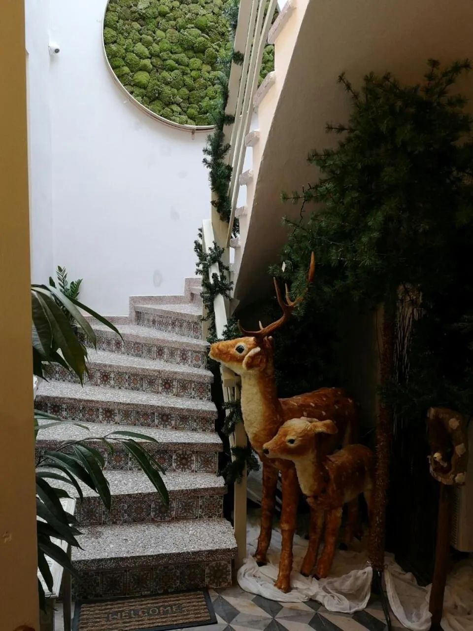 Facade/entrance in Sali Boutique hotel