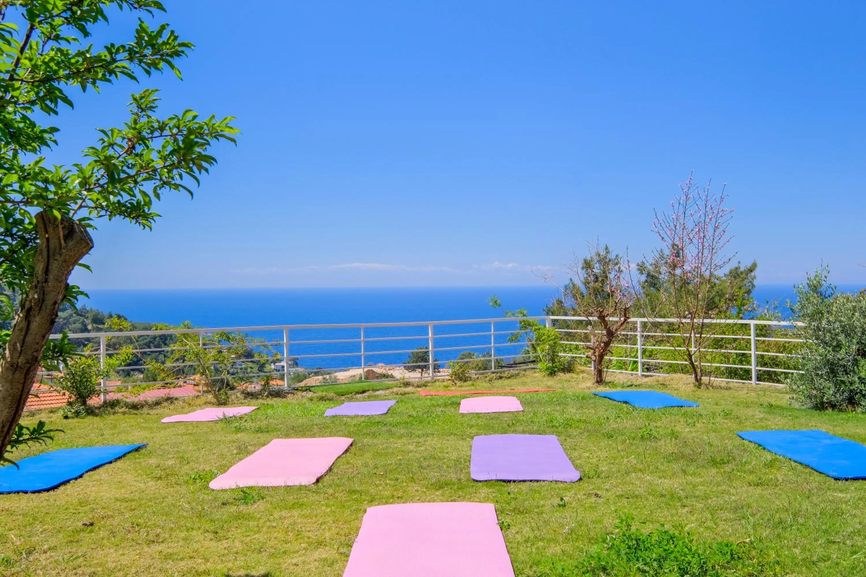 Natural landscape in Highclere Hotel and Spa