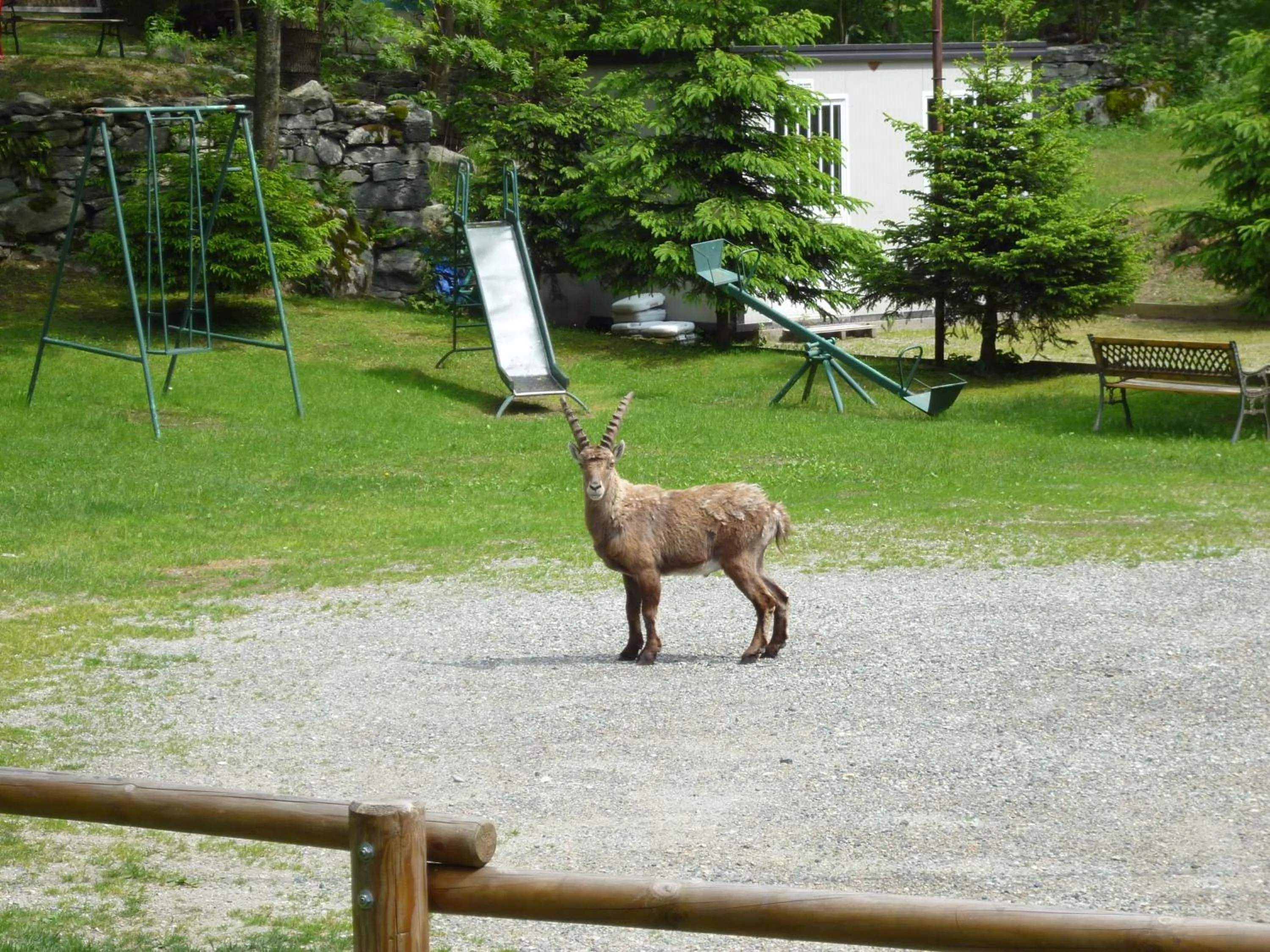 Property building in Hotel Fior di Roccia