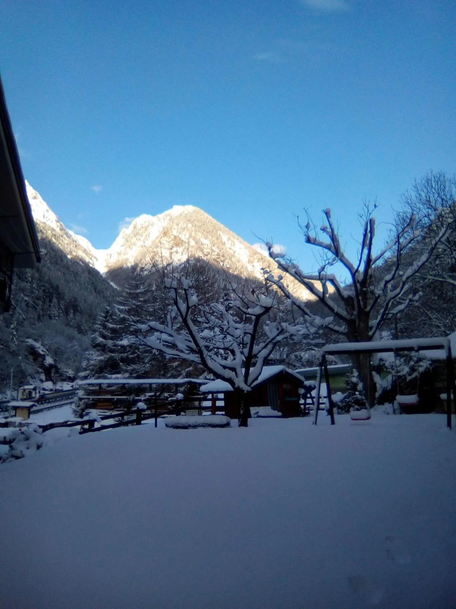 Garden in Hotel Fior di Roccia
