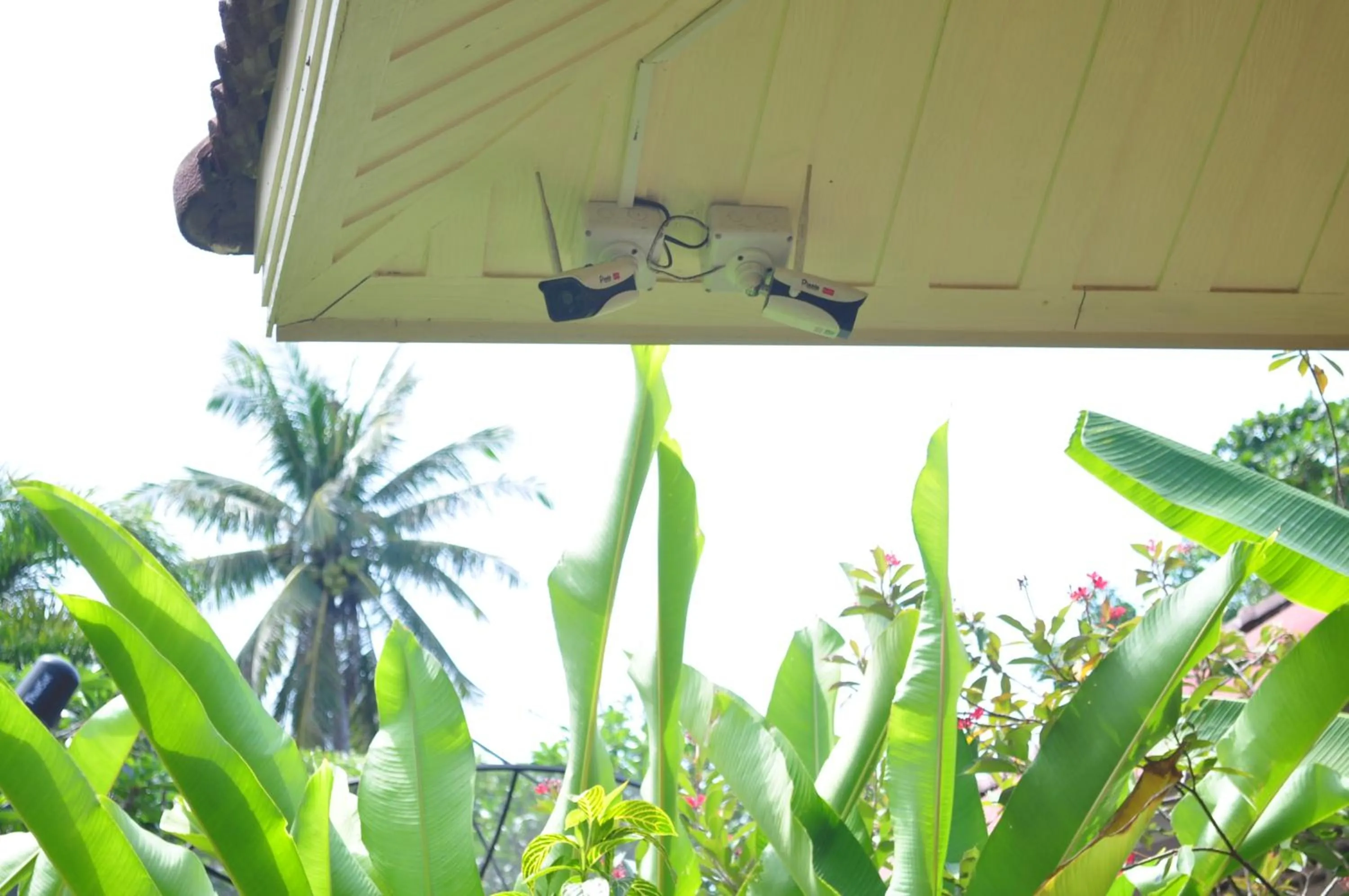 Property building in Lanta Seafront Resort