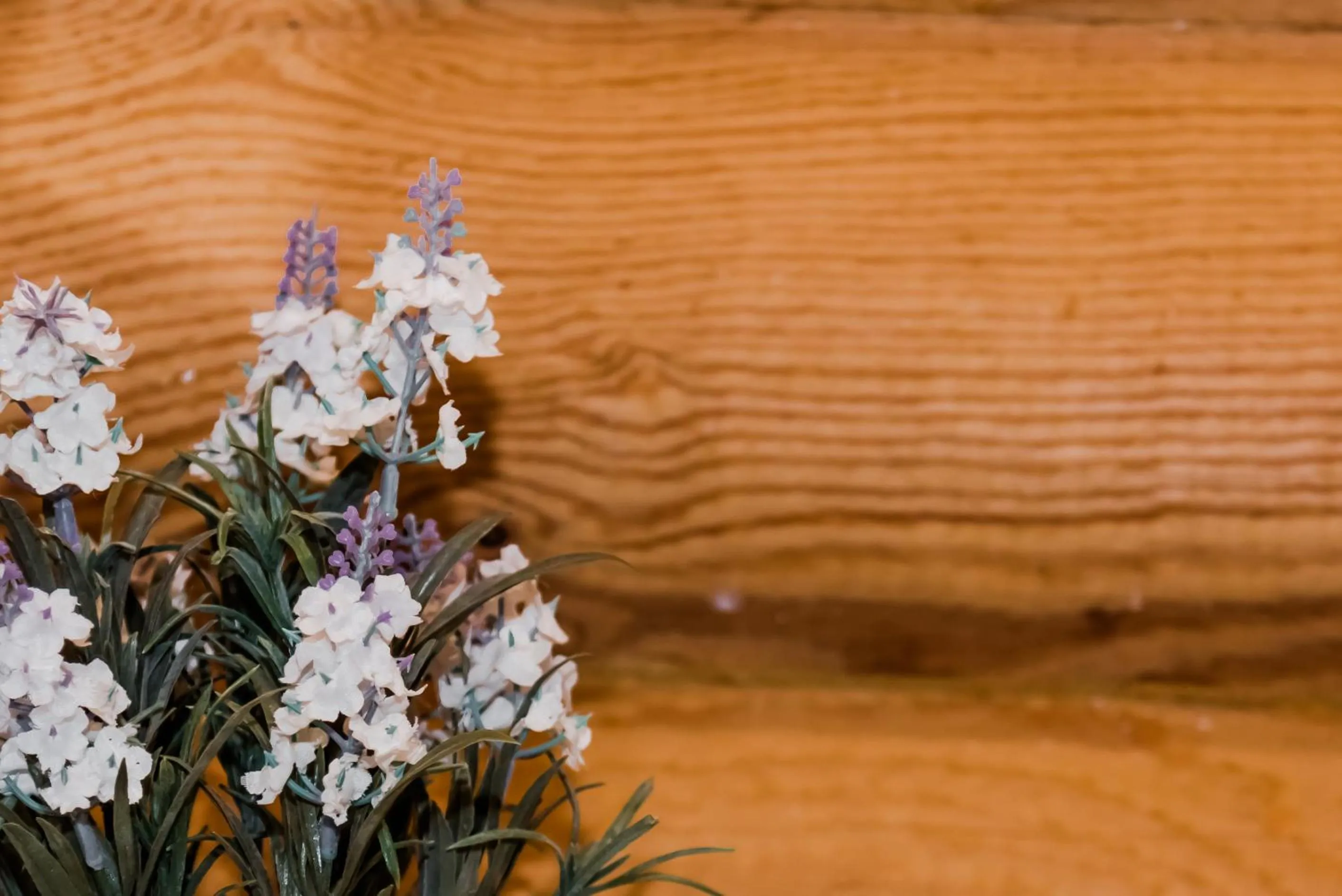 Spring in Külmamäe puhkemaja