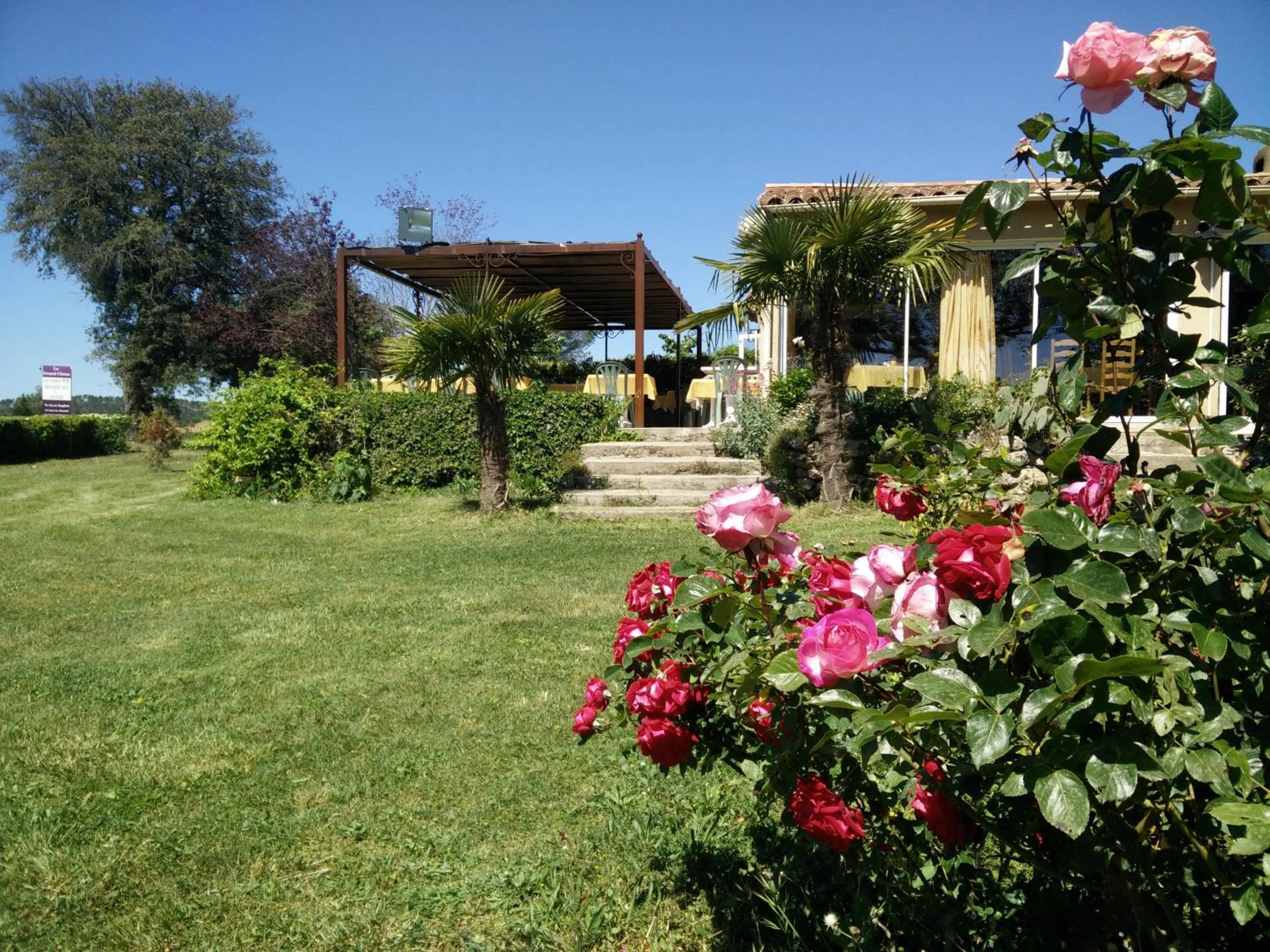 Garden view in Auberge du Grand Chêne