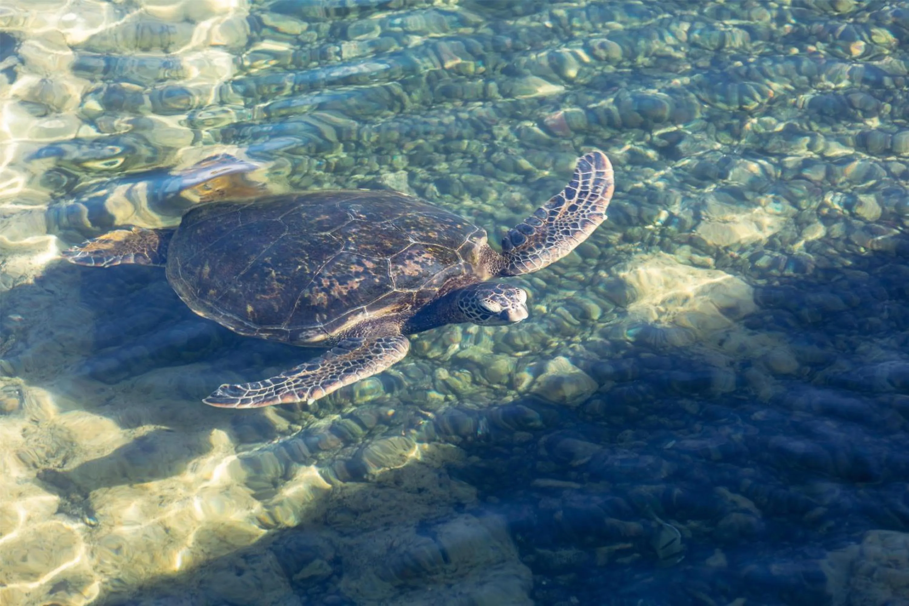 Property building in Hilton Waikoloa Village