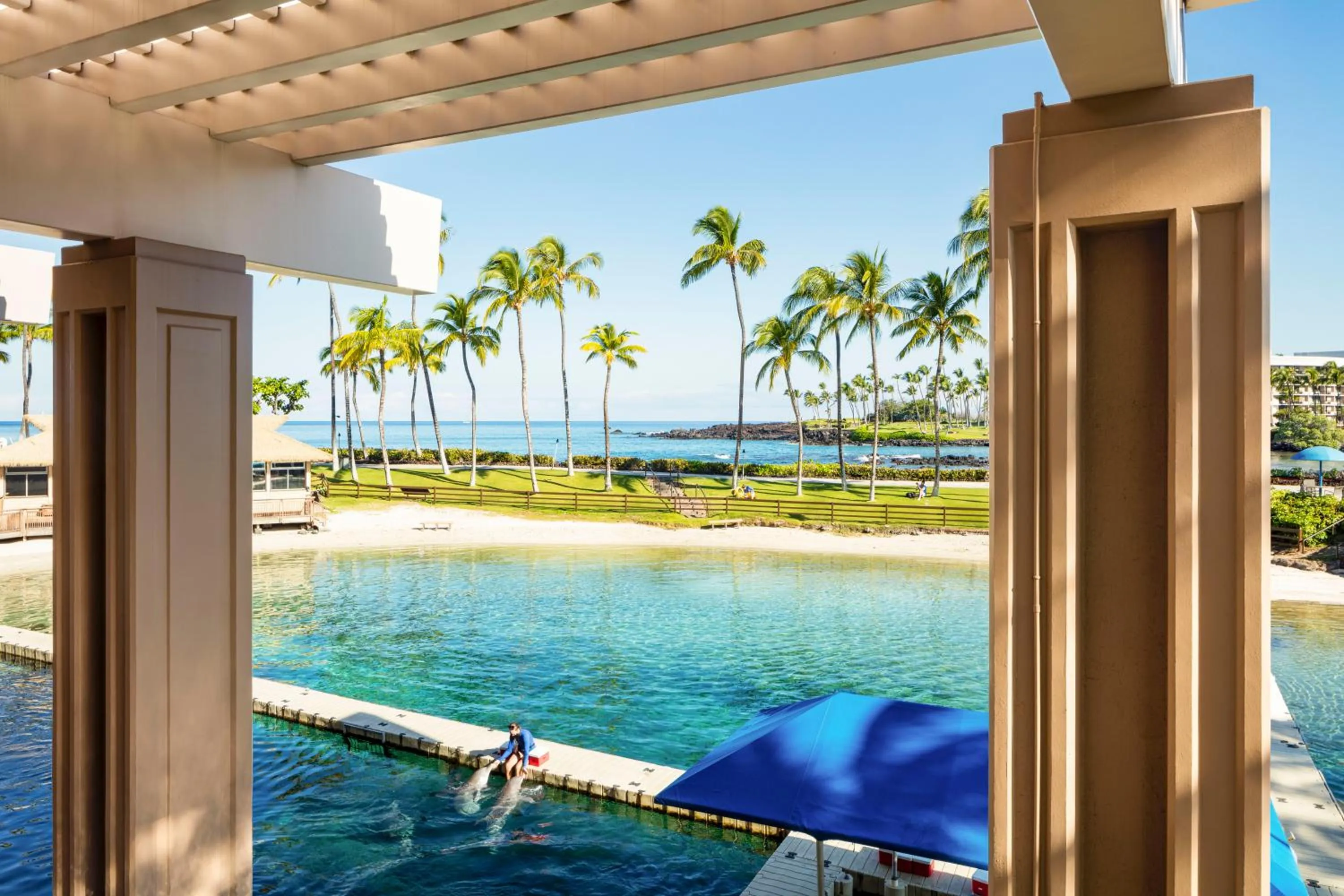 View (from property/room) in Hilton Waikoloa Village