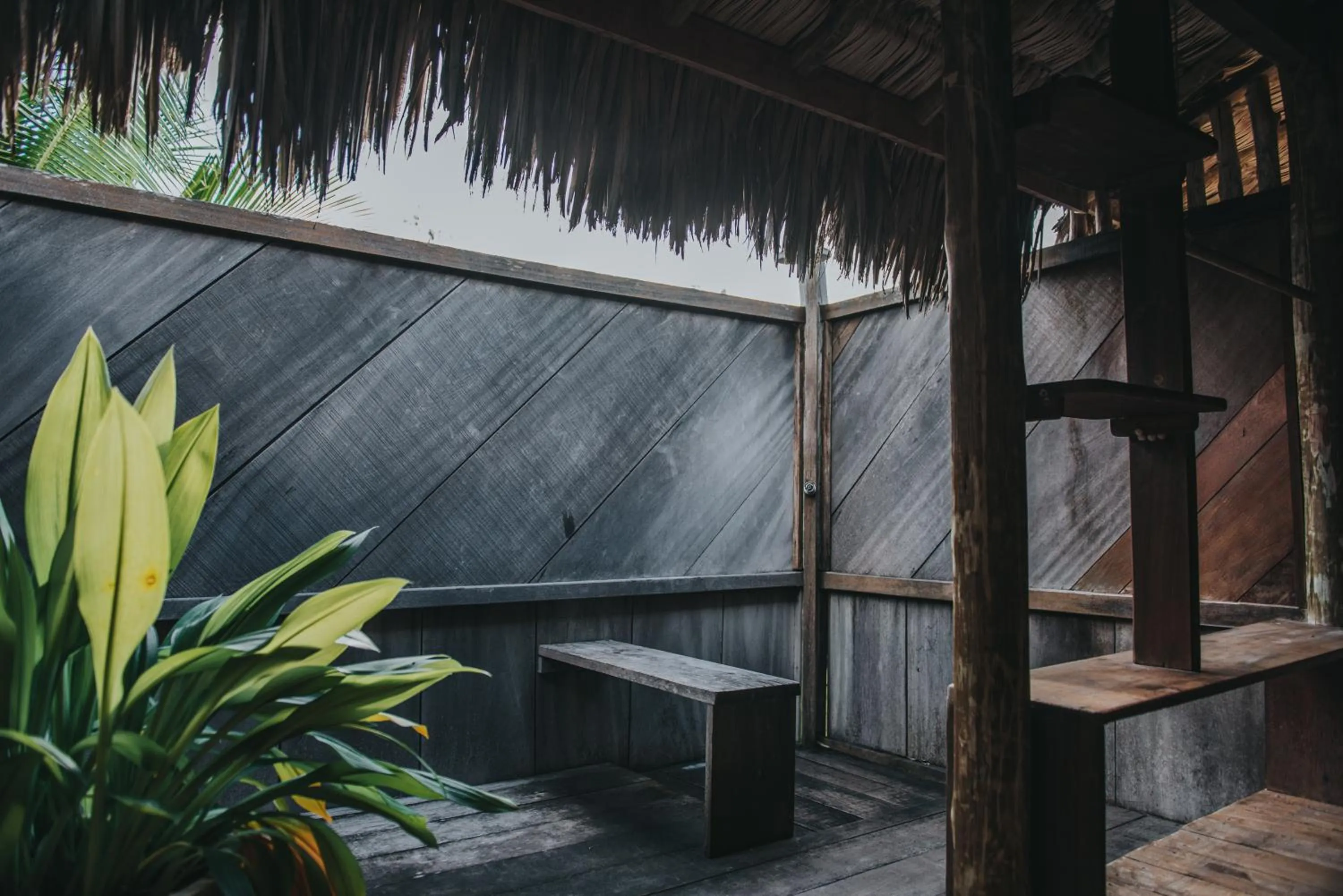 Shower in Ventana Hotel