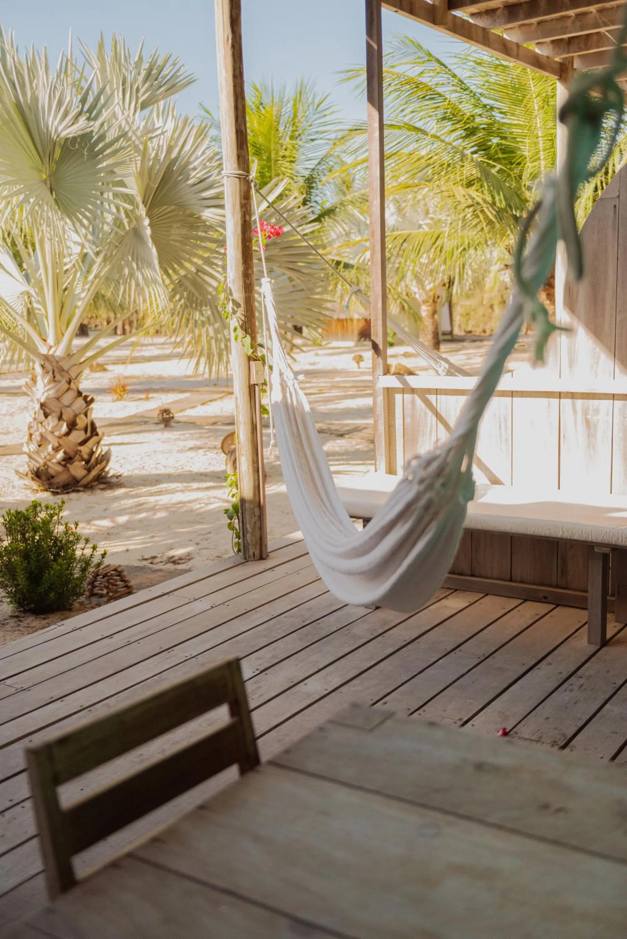 View (from property/room) in Ventana Hotel