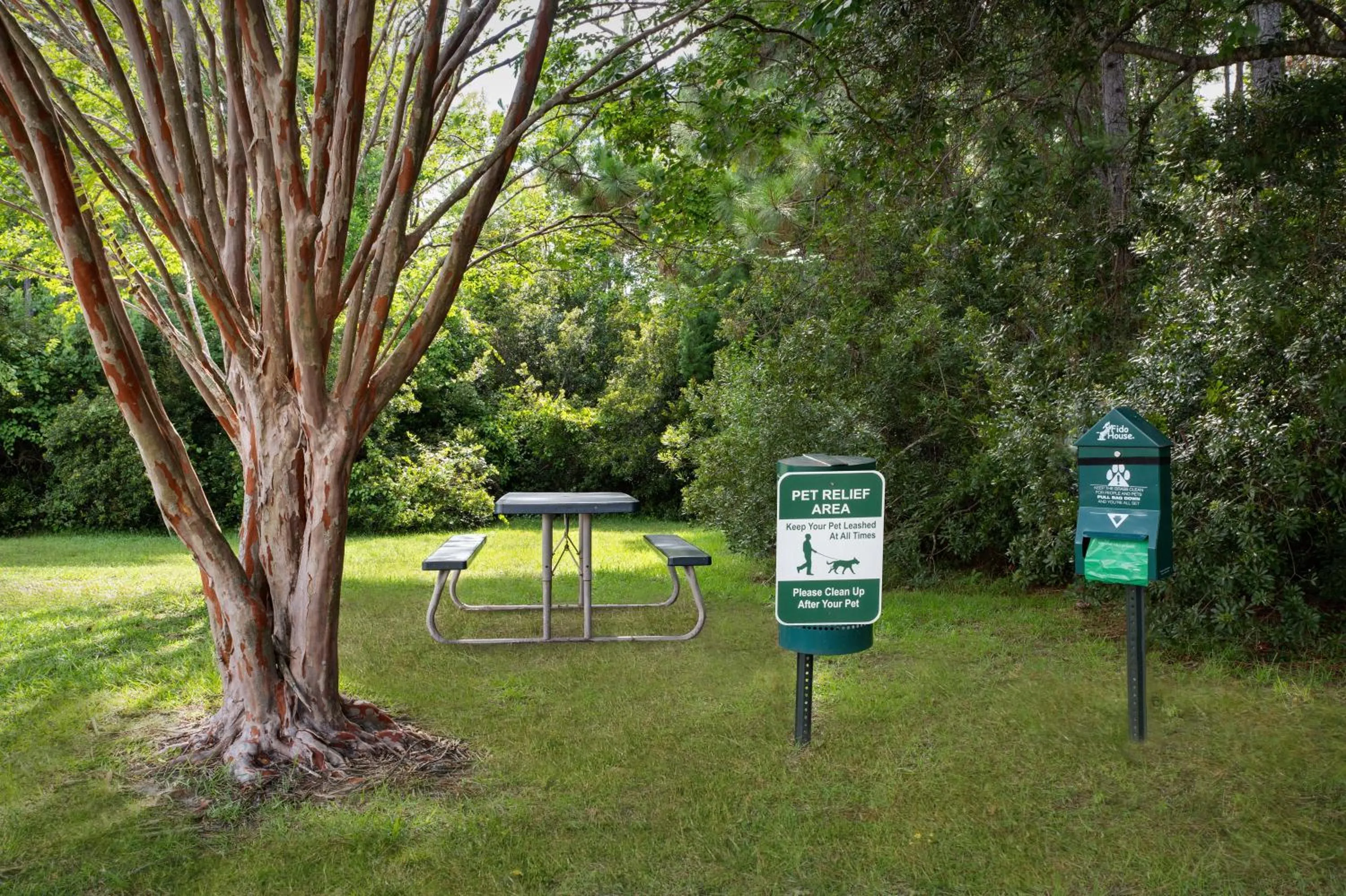 pet friendly in Hampton Inn by Hilton Panama City Beach