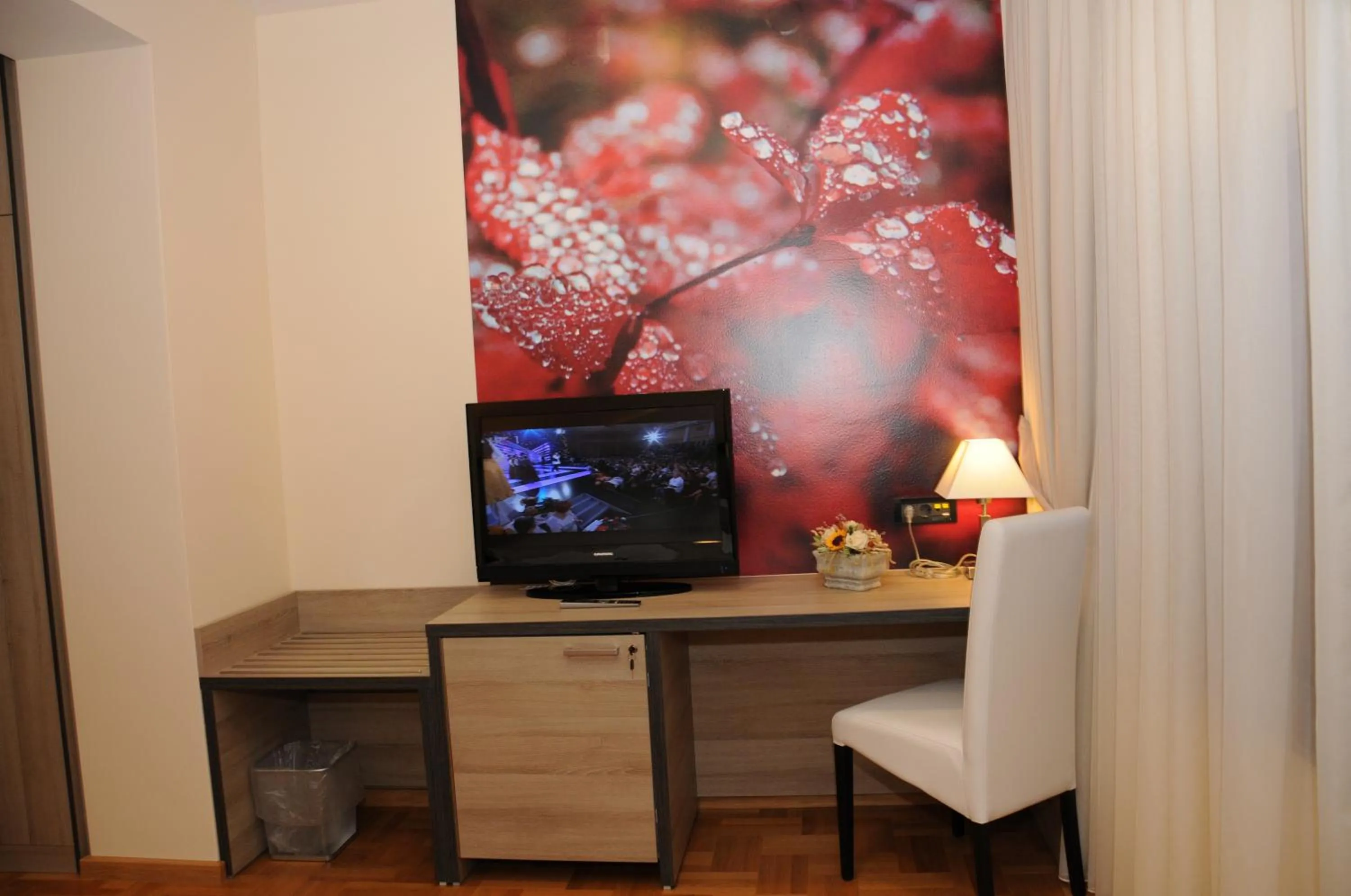 TV and multimedia in Hotel Calypso