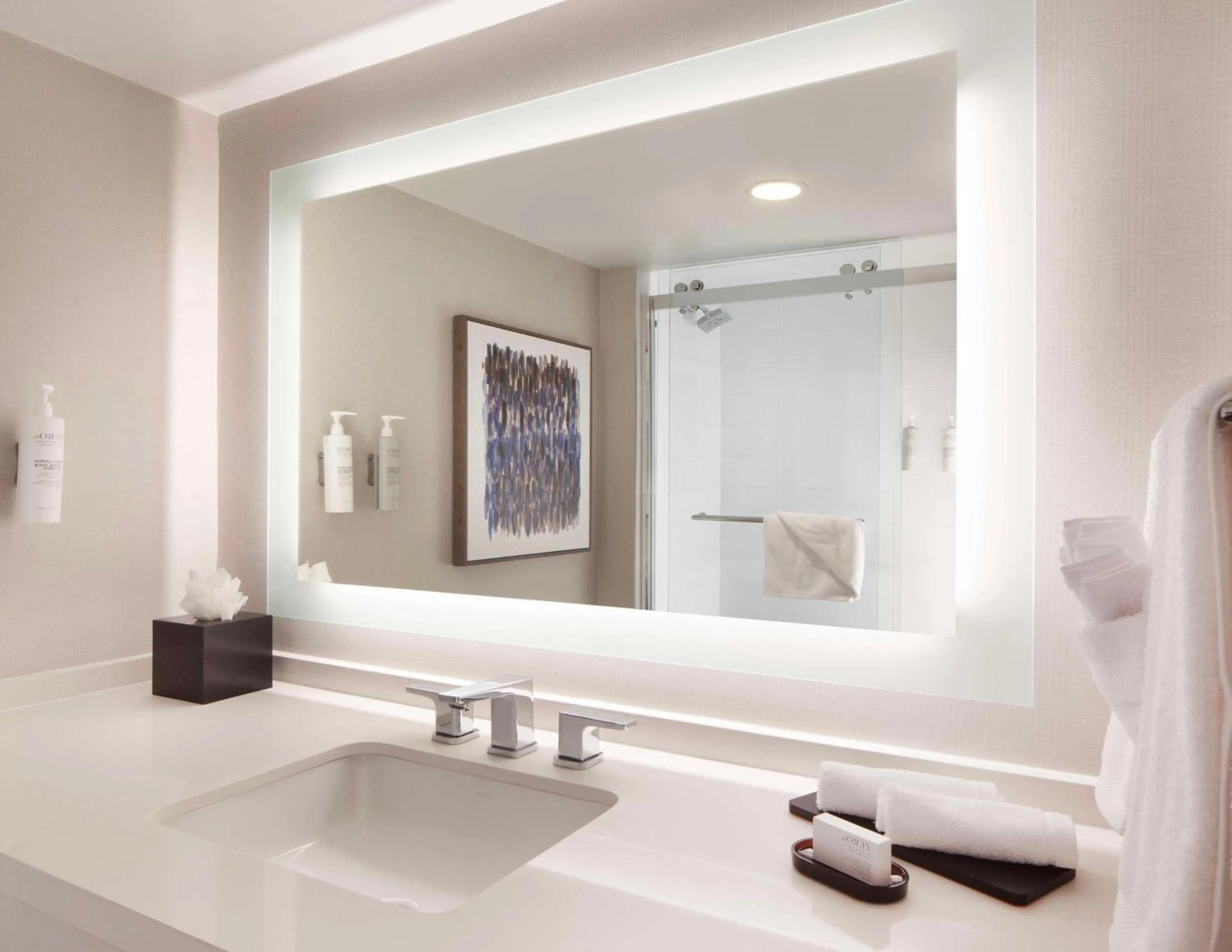 Bathroom in Embassy Suites by Hilton Palm Beach Gardens PGA Boulevard